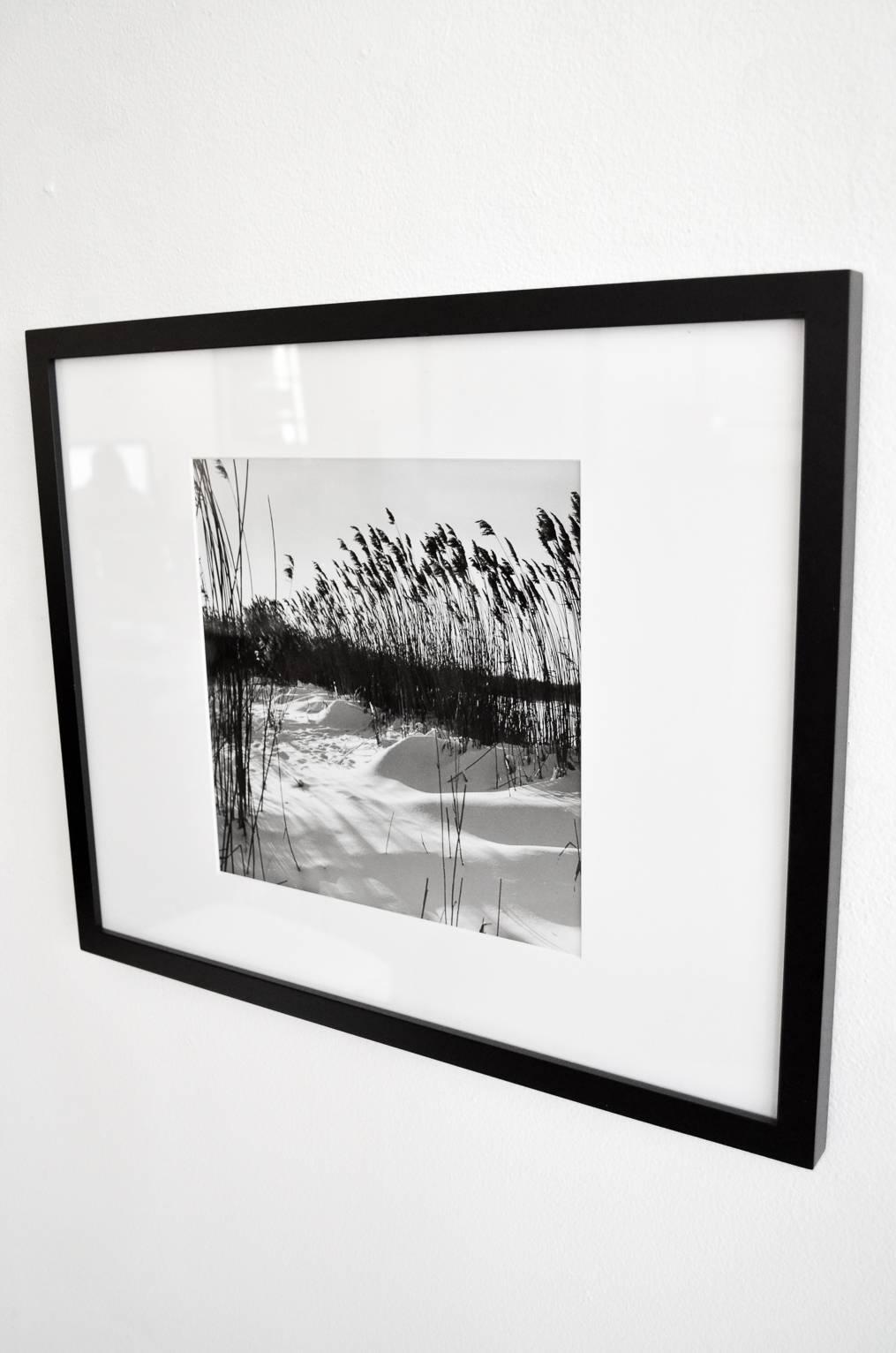 Original black and white photograph and artist developed print of Montauk by photographer Jerry Muller. Image is from his personal archives.

Professionally matted and framed
Measures 21.25″ W x 17.25″ H x 1″ D

Photographer, editor, art