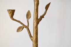 Pair of Organic Modern Tree Branch Candleholders