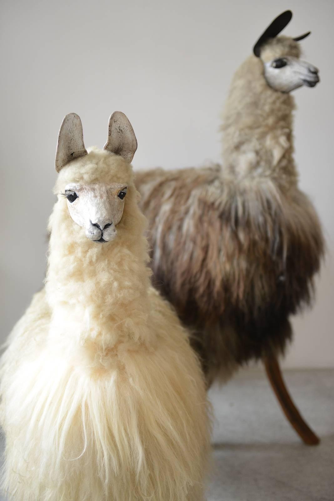 life size llama statue
