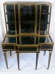 Pair of Brass-Mounted and Ebonized Display Cabinets