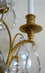 Large Pair of Three-Arm Gilt Bronze and Crystal Sconces