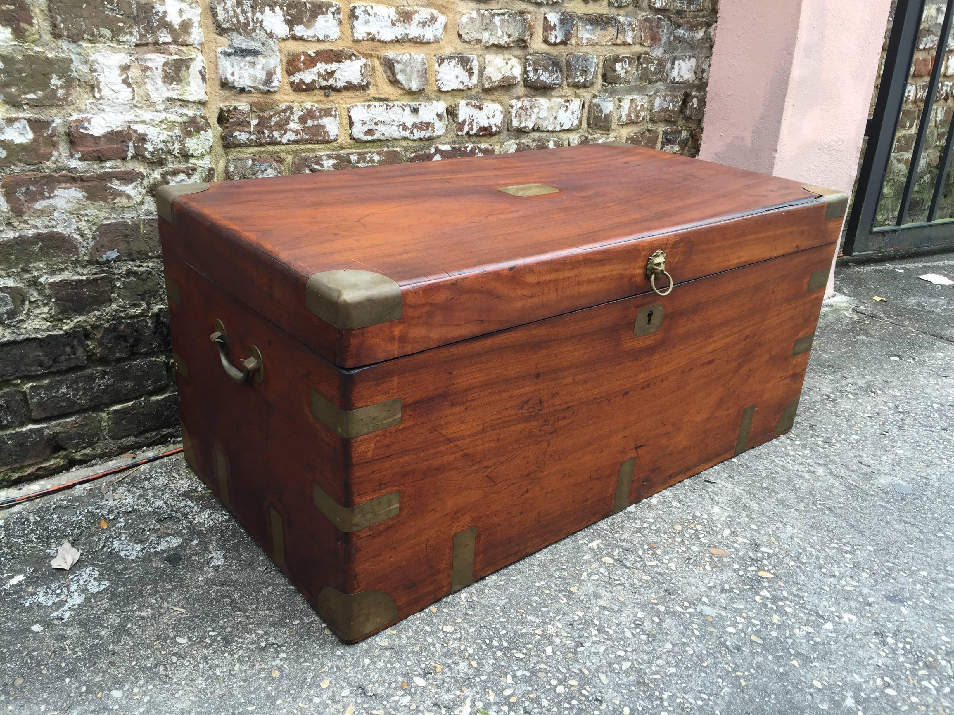 English Camphor Wood Late 19th Century Trunk In Good Condition In Charleston, SC
