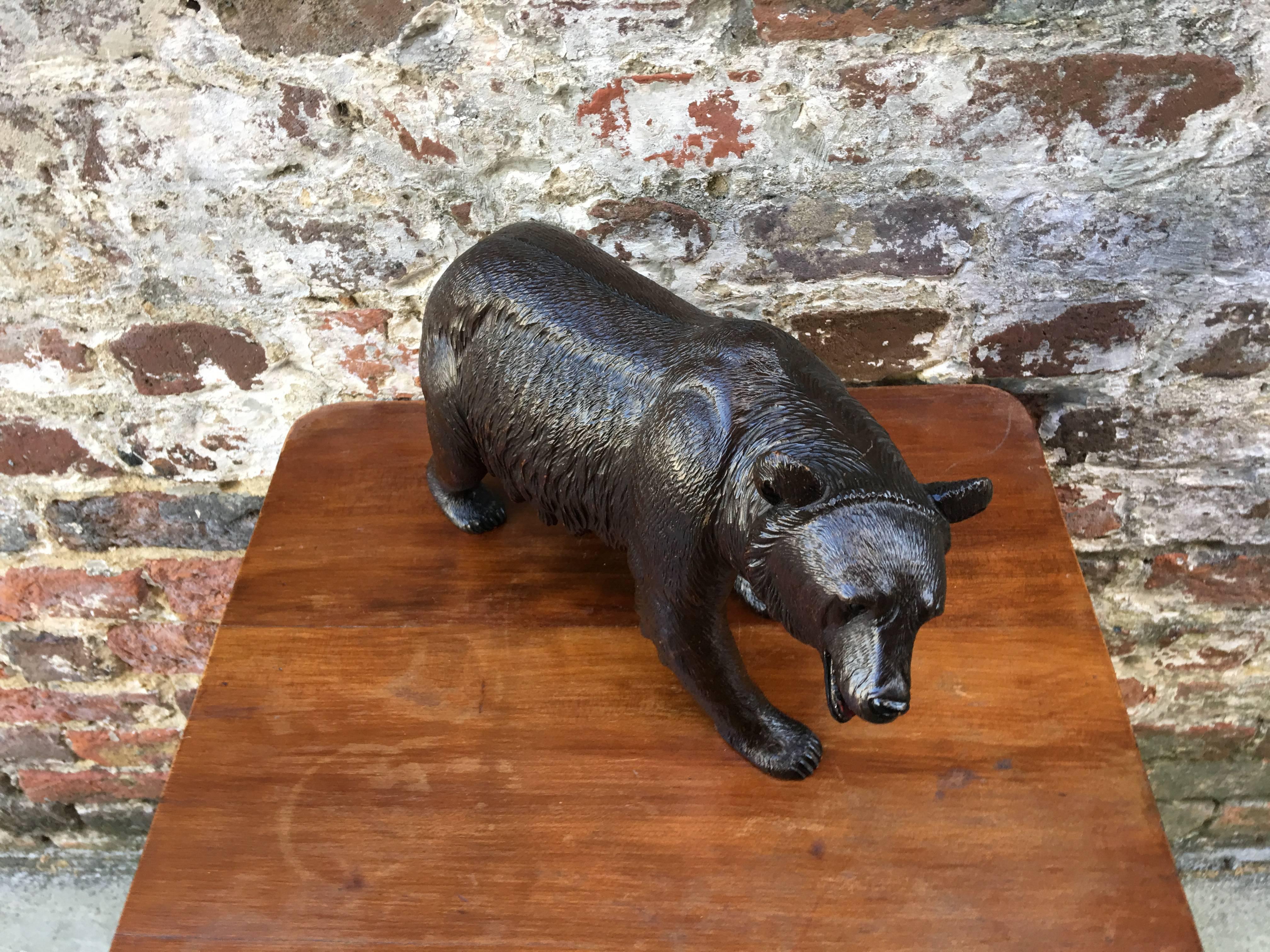 Carved Swiss early 20th century bear.