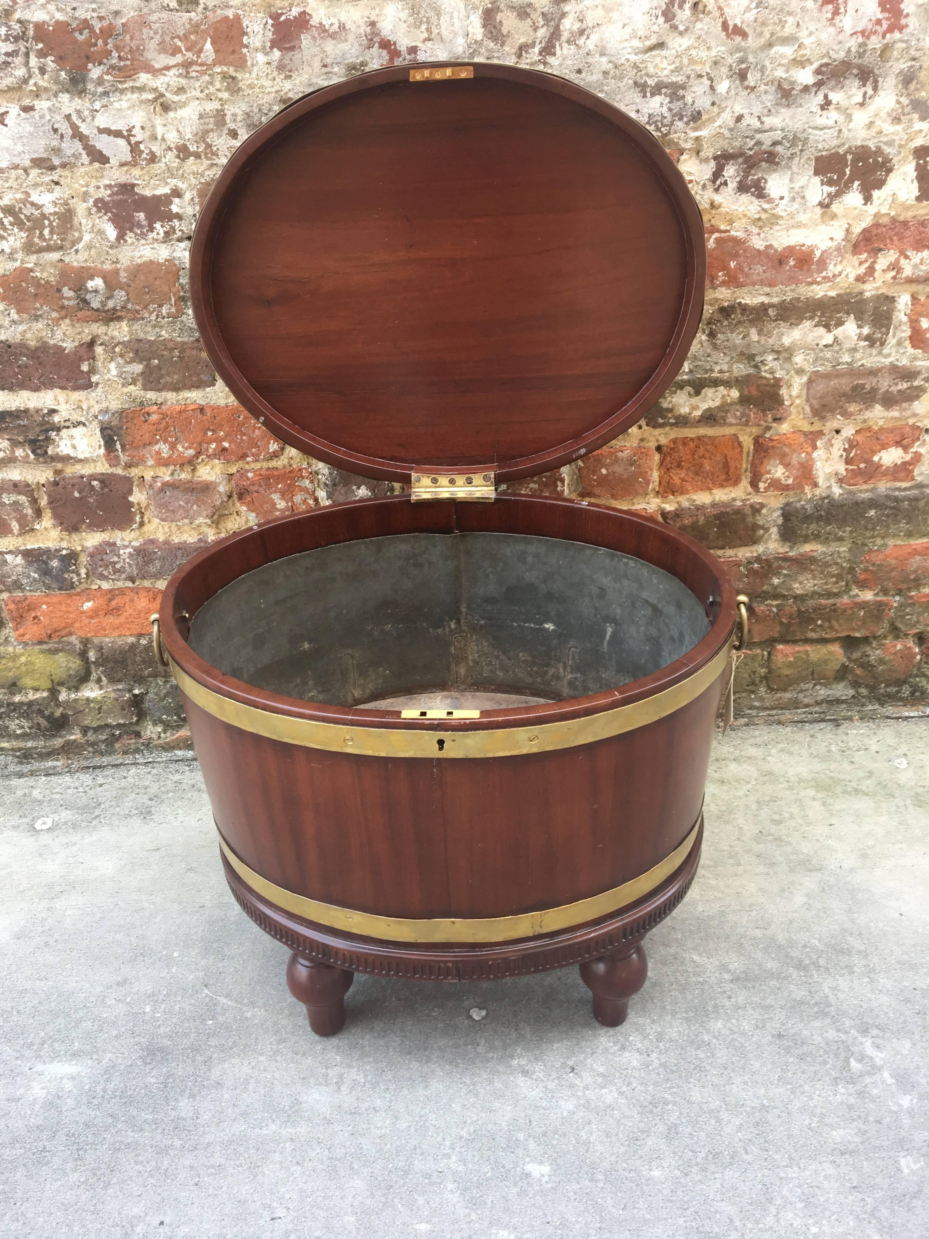 English 19th Century Mahogany Wine Cooler 3