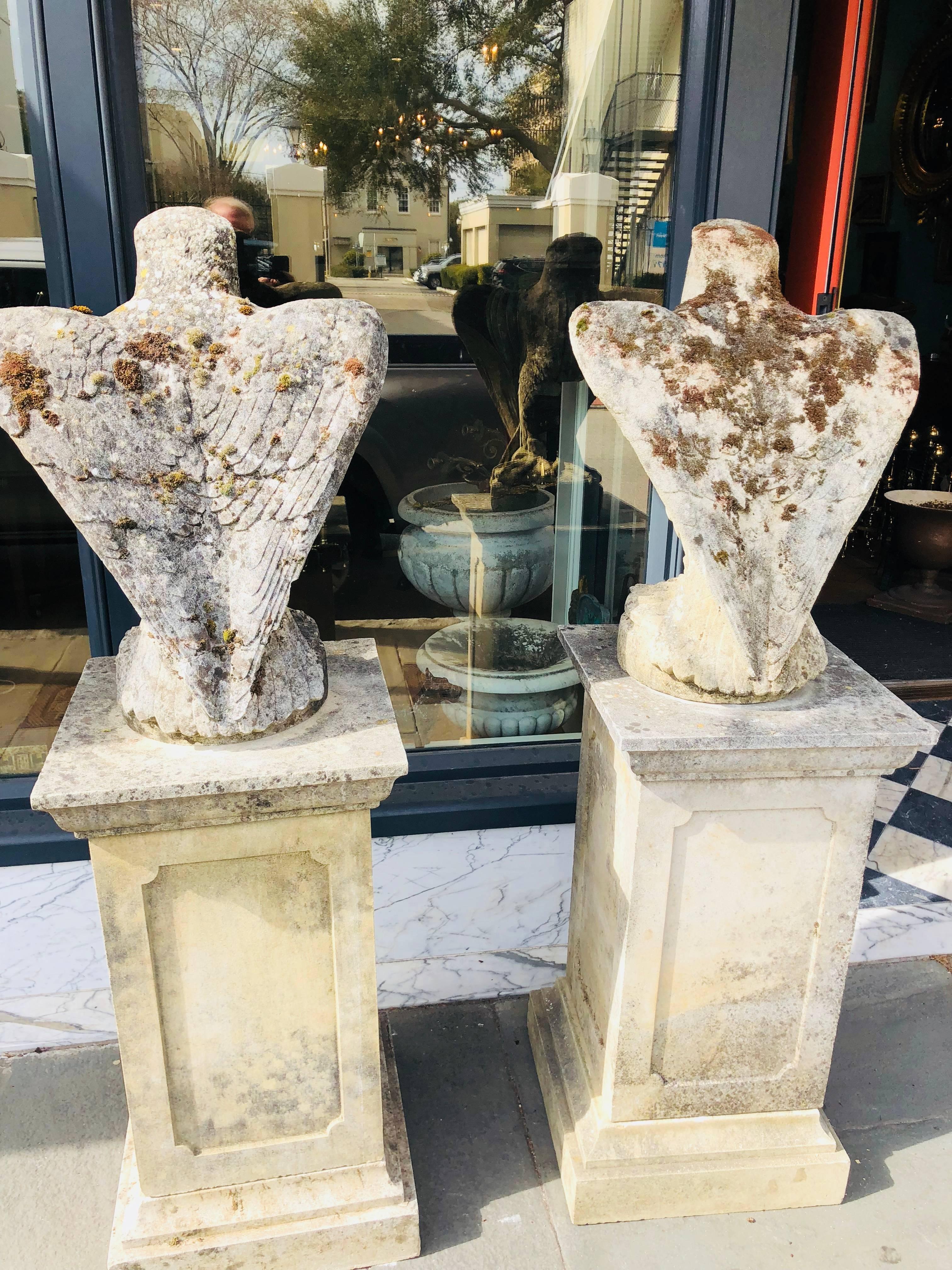 Pair of Late 19th Century Garden Stone Peregrine Falcons on Cast Pedestals 3