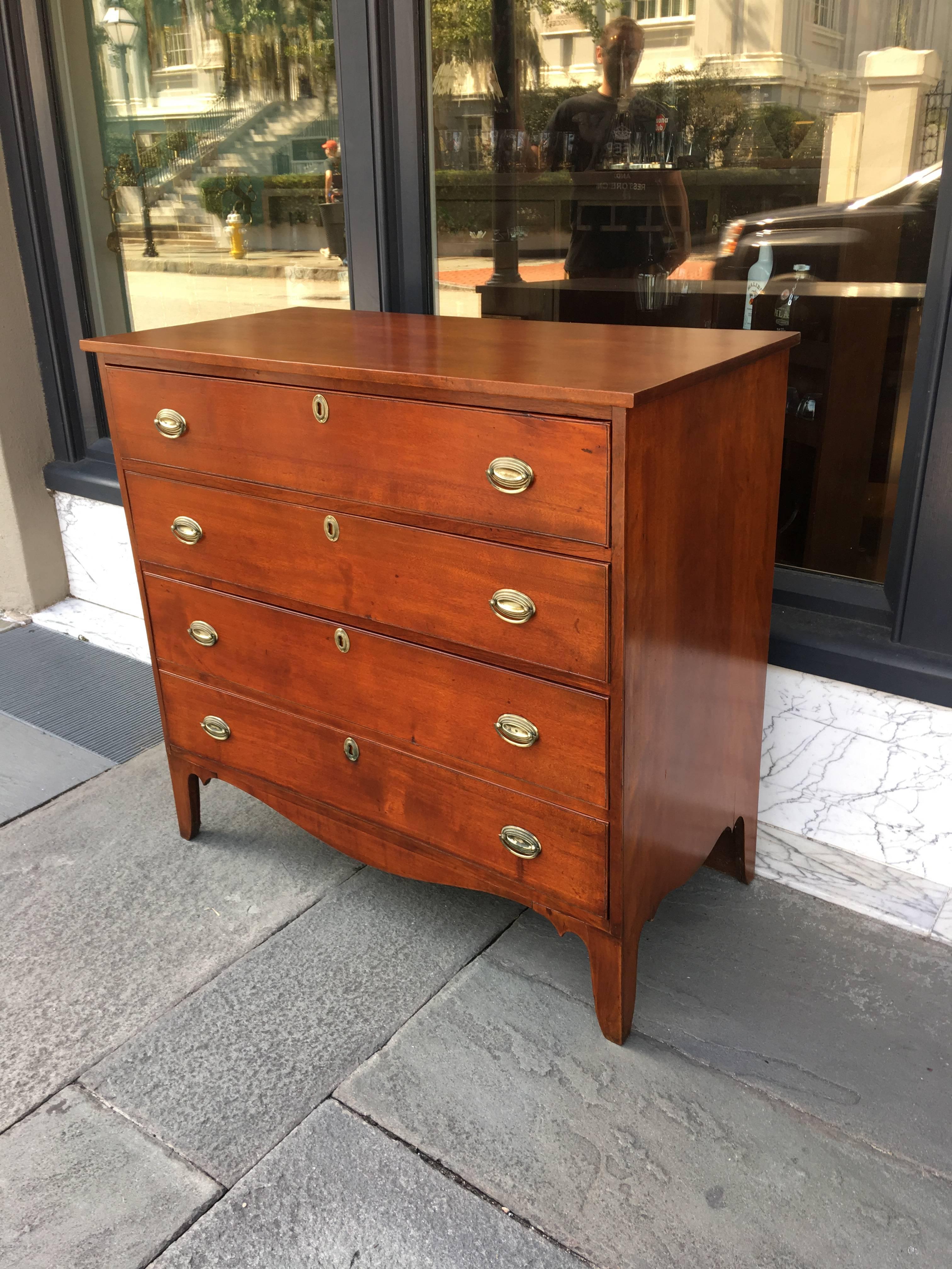 North American American Birch New England Chest Late 19th Century with Original Pulls