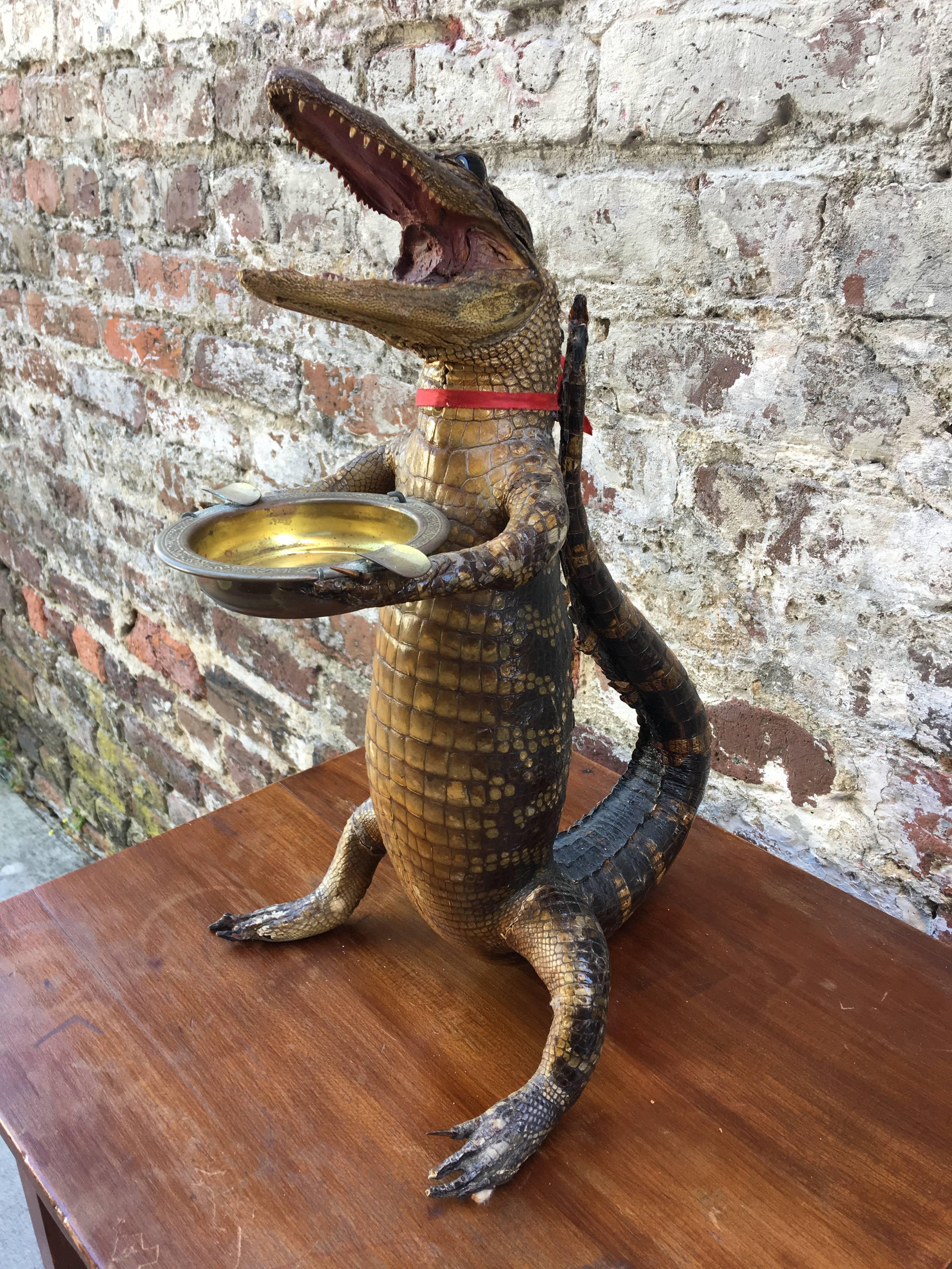 Victorian alligator ashtray or footman.
