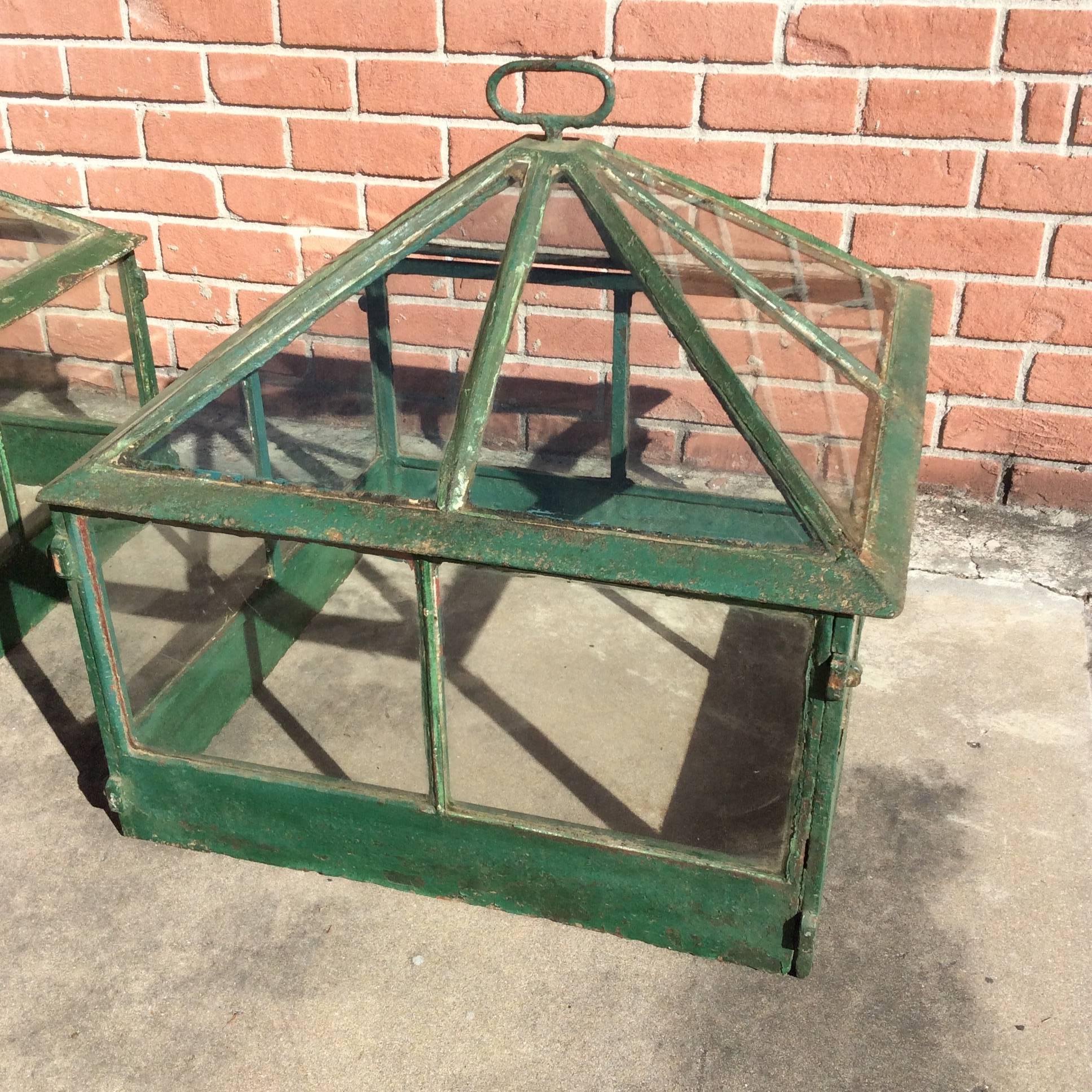 Pair of Late 19th Century Miniutuire Conservatory's In Good Condition In Charleston, SC