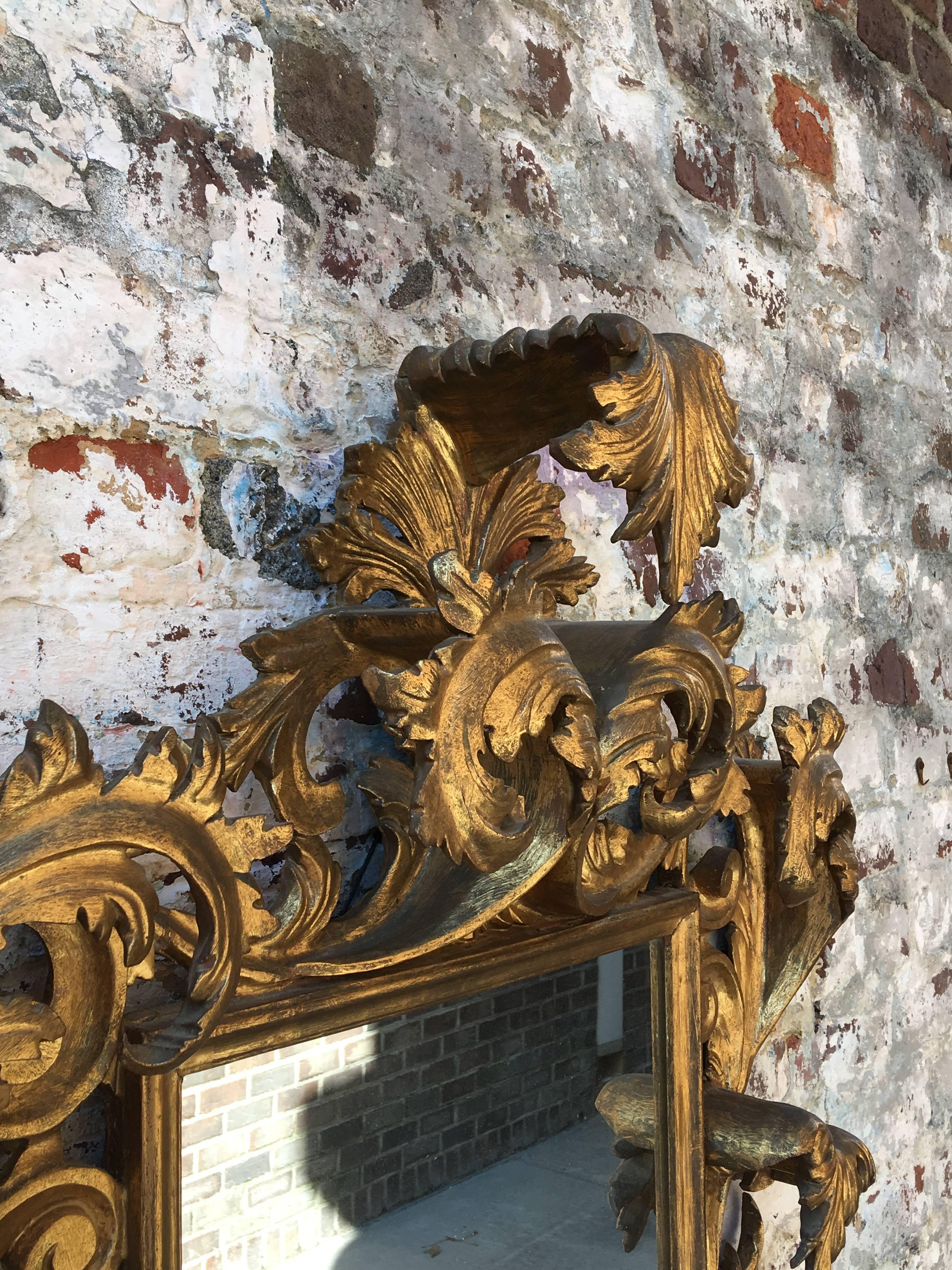 Ornately Carved Late 19th Century Gold Gilt Mirror In Excellent Condition In Charleston, SC