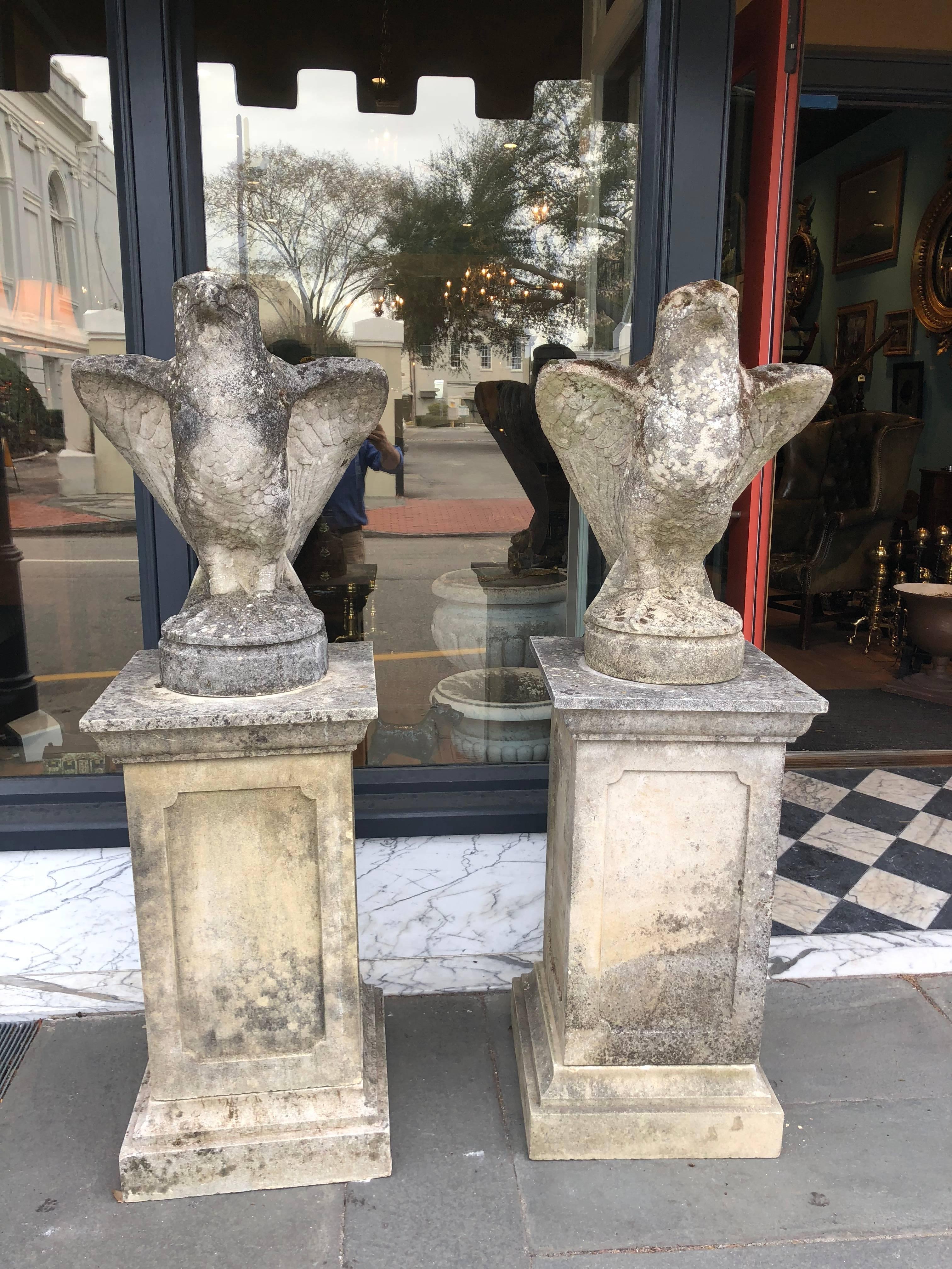 Pair of garden stone peregrine falcons on cast pedestals. Exquisite detail work with wonderful patination.