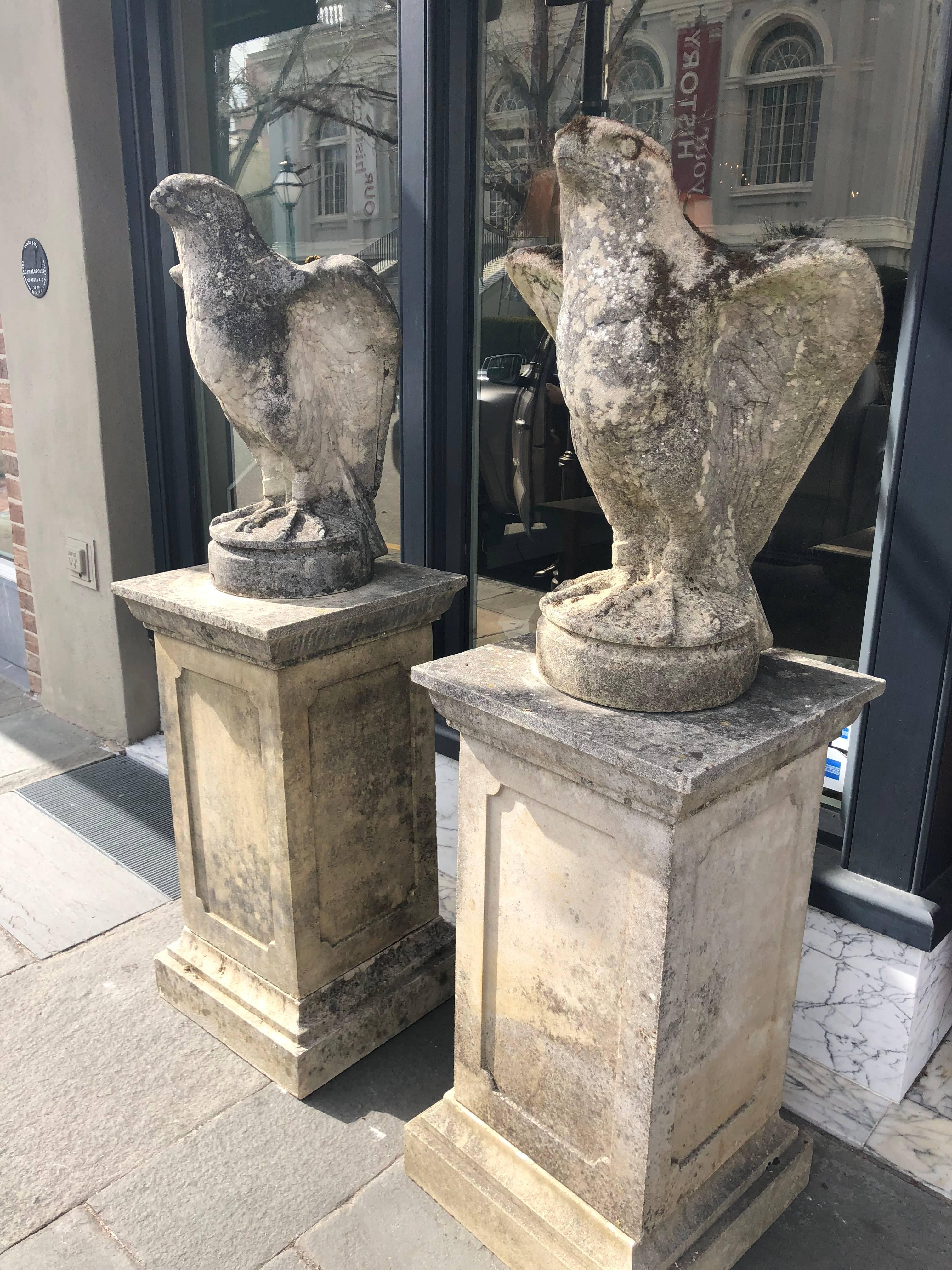 Pair of Late 19th Century Garden Stone Peregrine Falcons on Cast Pedestals 1