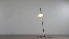 Attributed to Carl AuböCk Tripod Pelican Light for Kalmar, Austria 1960