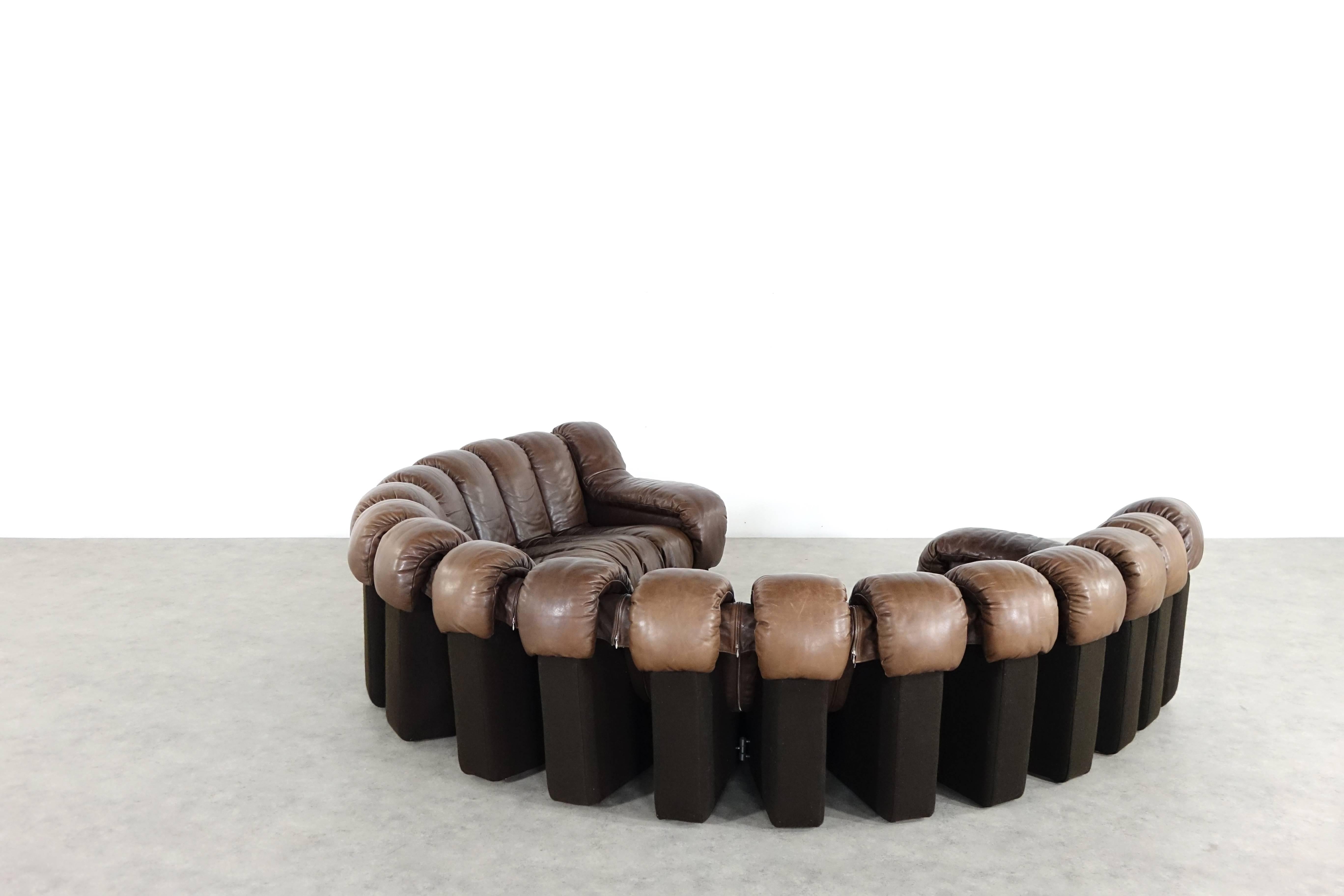De Sede DS 600 Sofa by Ueli Berger and Riva 1972, Chocolate Leather 18 Elements In Excellent Condition In Munster, NRW