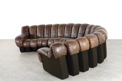 De Sede DS 600 Sofa by Ueli Berger and Riva 1972, Chocolate Leather 18 Elements