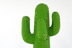 Gufram Cactus 1986 N°746/2000 G. Drocco F. Mello designed 1972 out of Prod