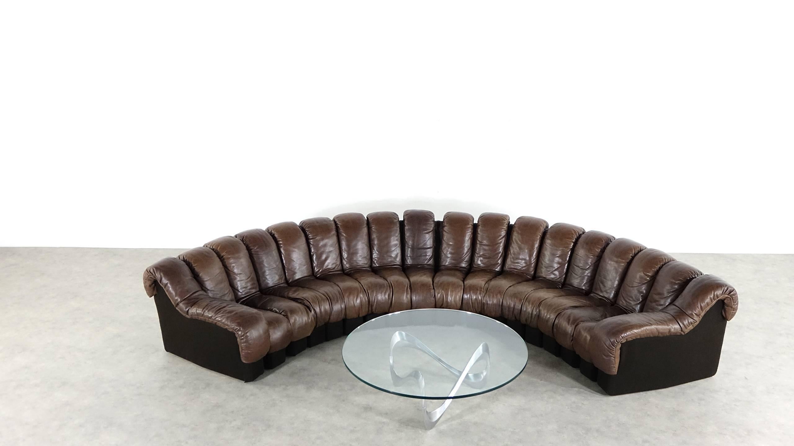 De Sede Ds 600 Sofa by Ueli Berger and Riva 1972, Chocolate Leather 18 Elements 4