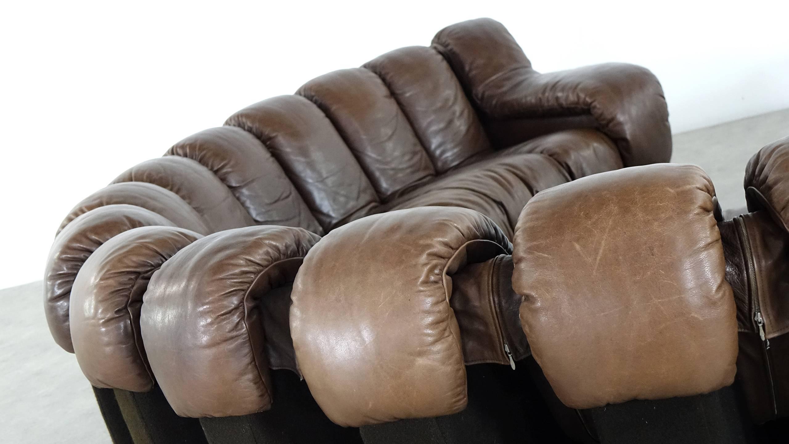 De Sede Ds 600 Sofa by Ueli Berger and Riva 1972, Chocolate Leather 18 Elements 3