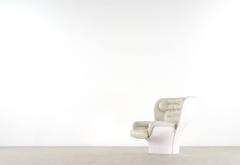 Elda Chair Design Joe Colombo for Comfort