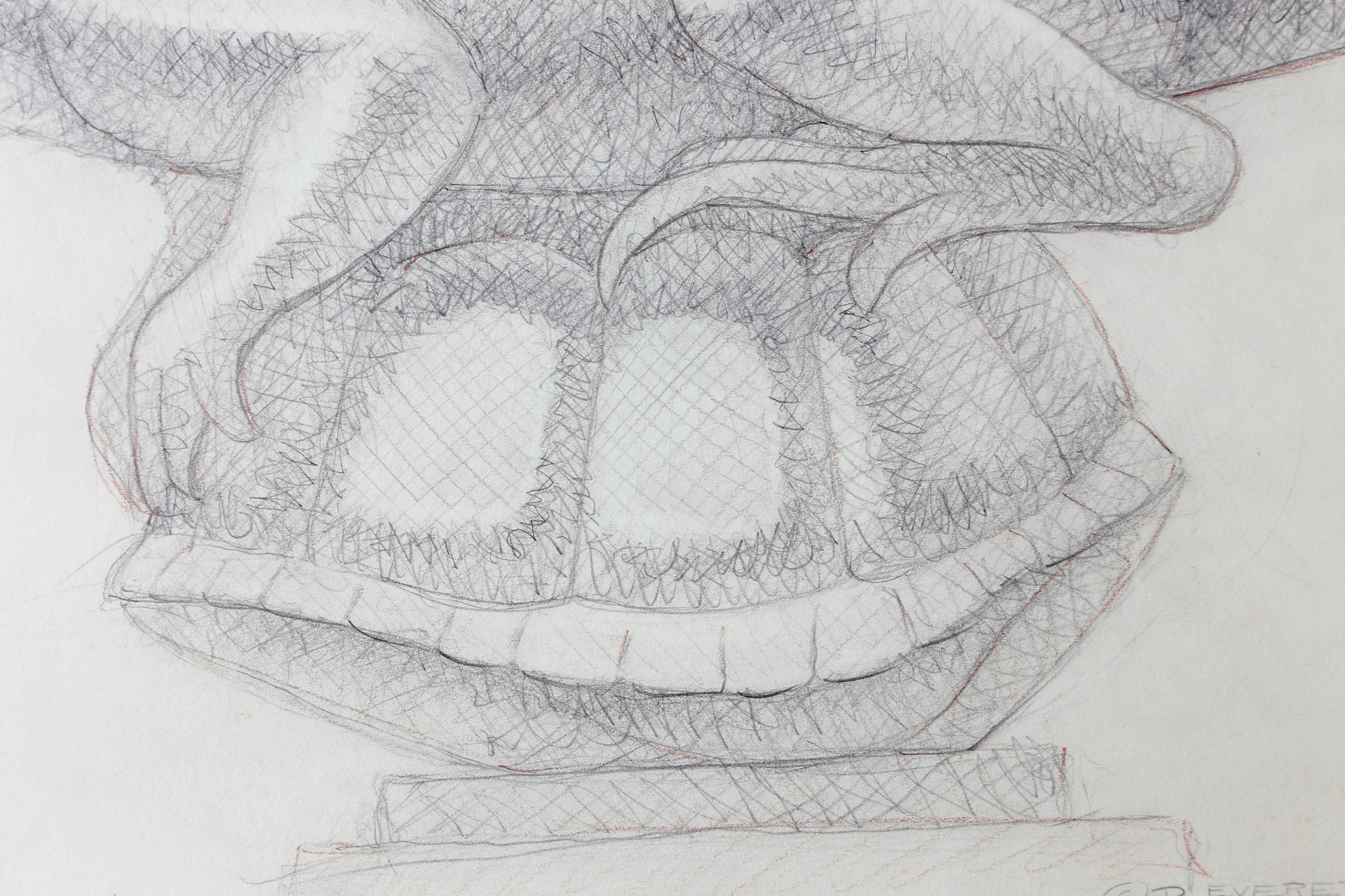 Contemporary Framed Original Pencil Drawing of an Iguana