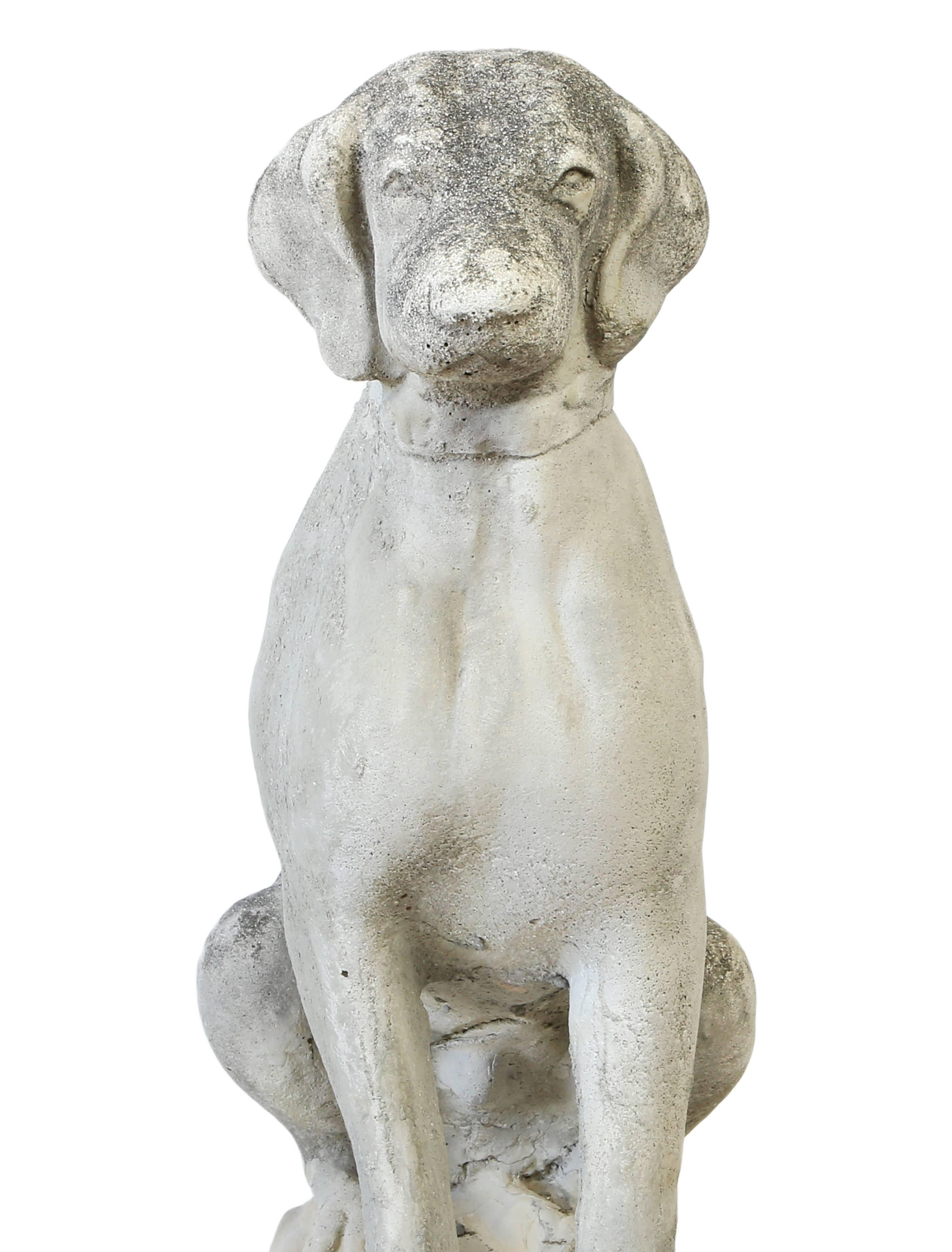A pair of seated Labrador dog garden statues in cast concrete.