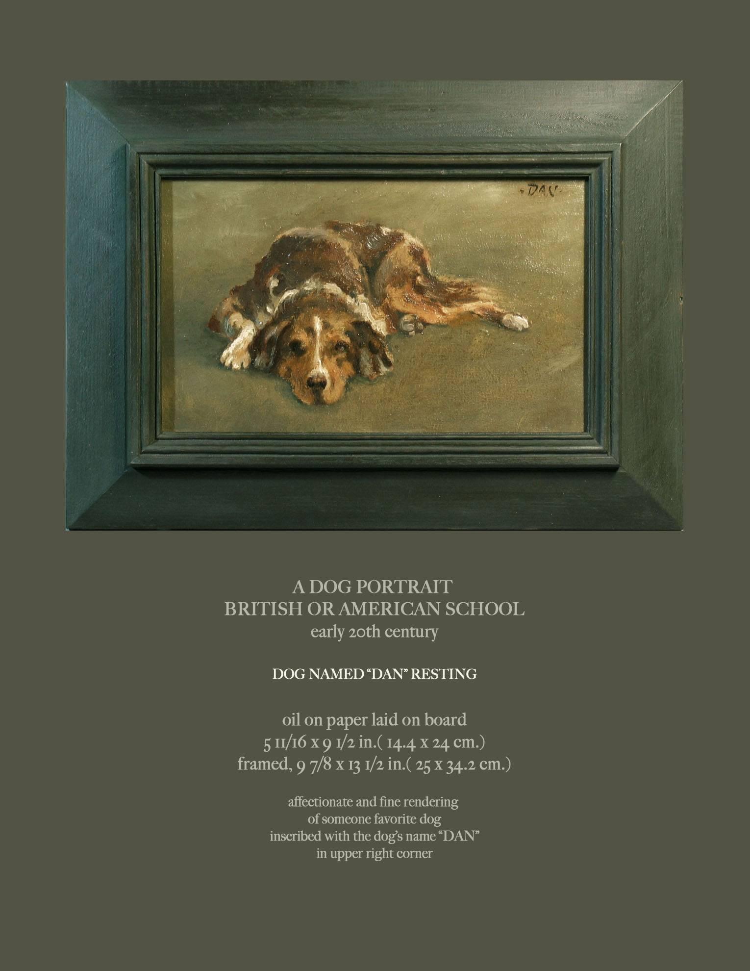 A dog portrait, British or American school, early 20th century. Painting of a dog resting named 