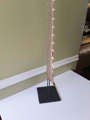 A Large Sawfish Bill on a Museum Mount, American 19th Century and Family History