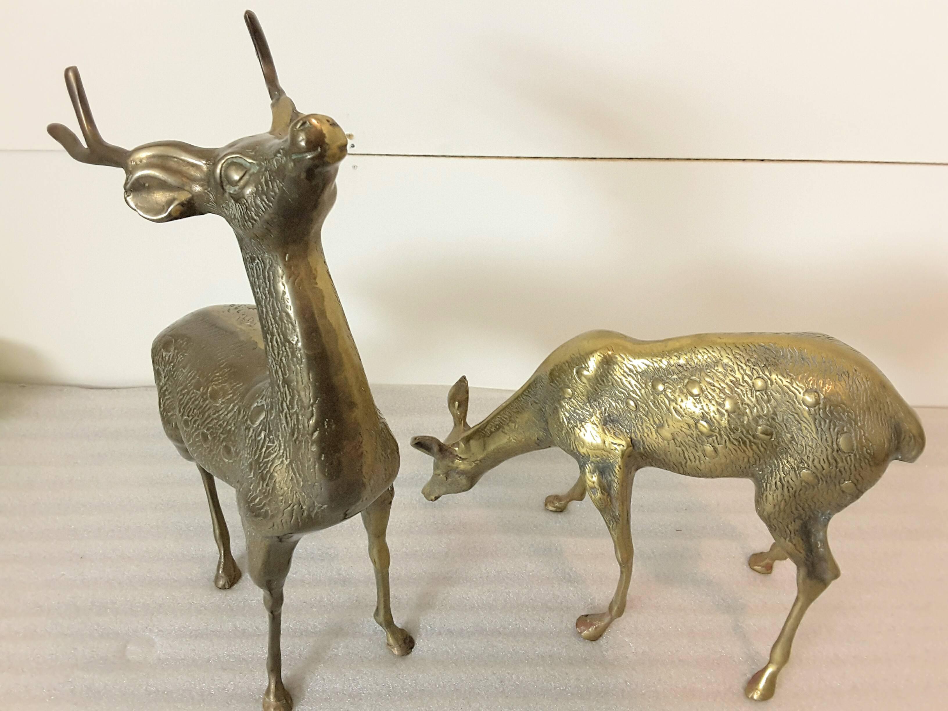 Mid-century brass guarding stag and feeding doe sculpture's, the deer are hollow cast solid brass and are nicely cast. The stag measures 14"-inches high x 9"-inches long x 4"-inches deep. The doe is 11"-inches high x