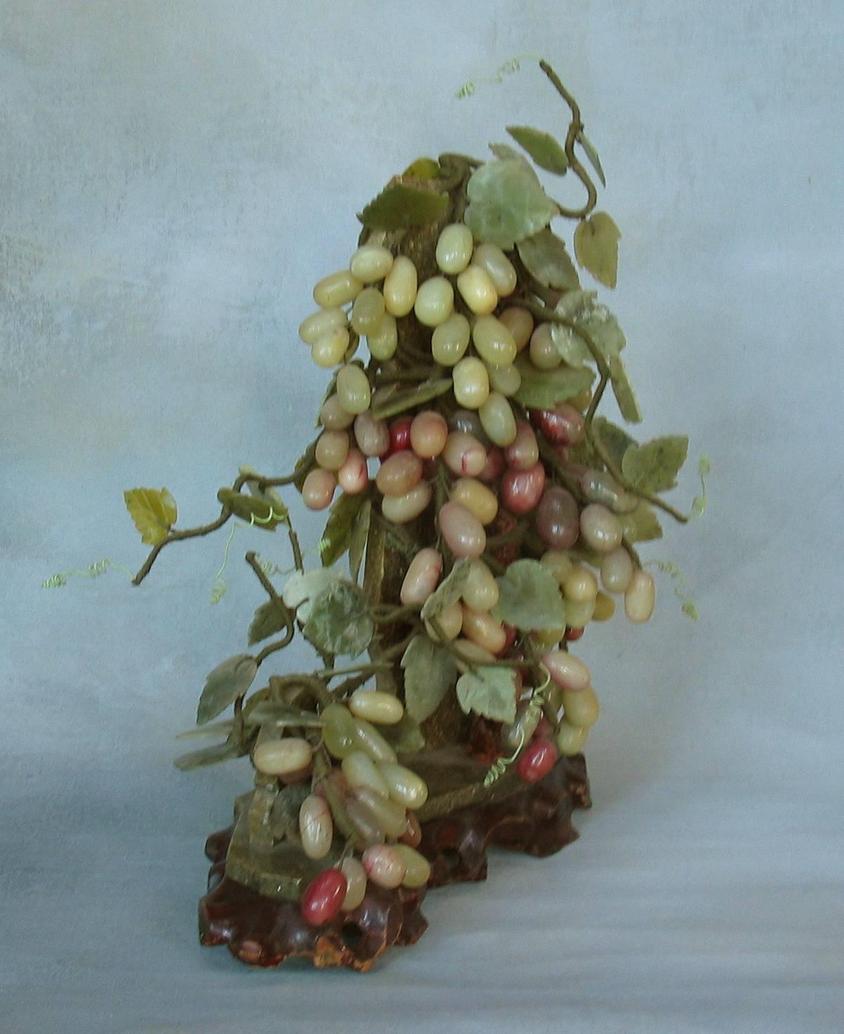 chinese grape tree