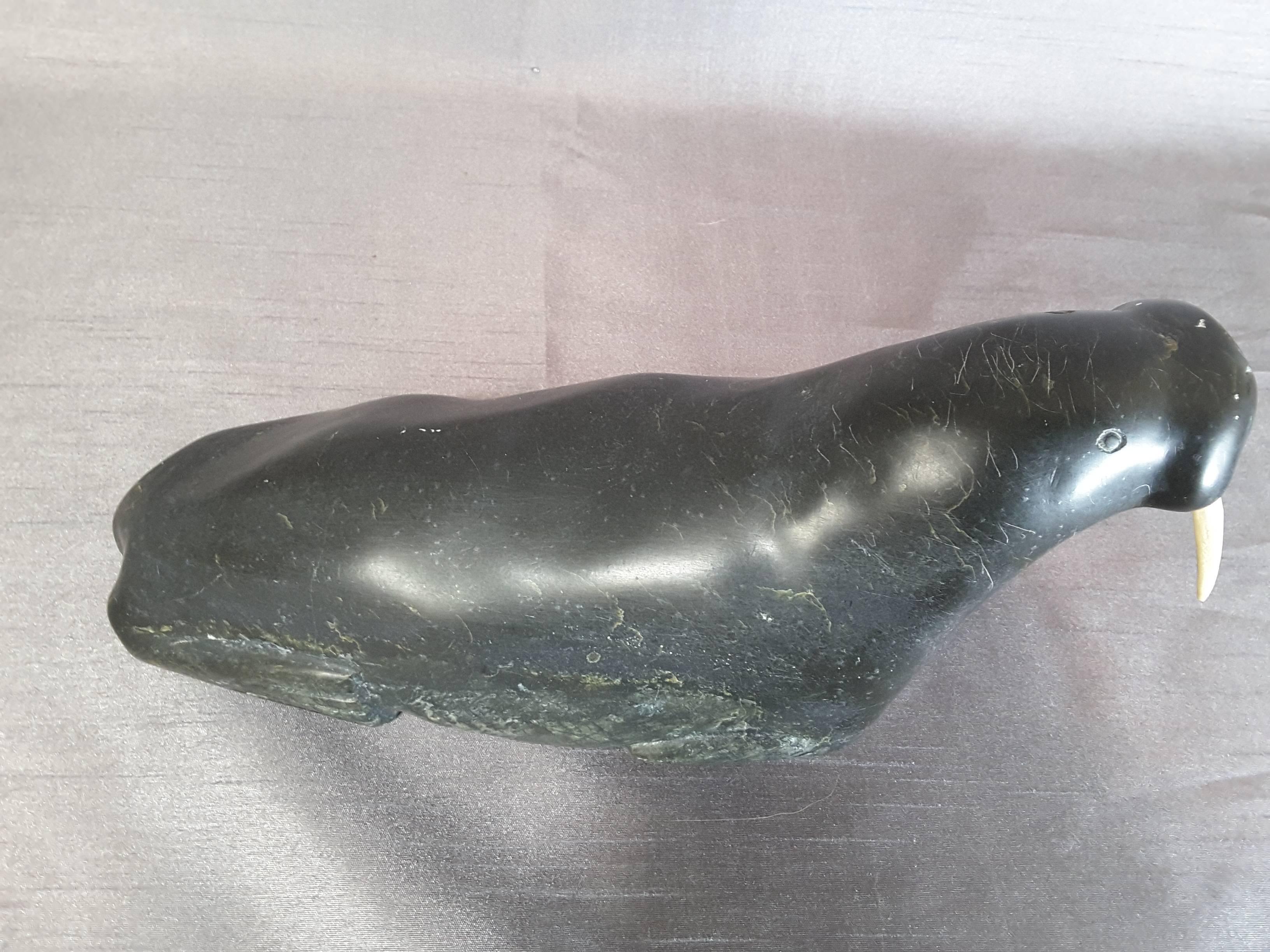 Native American Large Inuit Soapstone Sculpture of a Walrus with Tusks by Ragee Kupapik E7837 For Sale