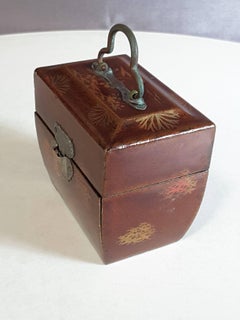 Miniature Chinese Herb/Medicinal Fitted Case with Two Glass Bottles