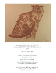 Alexander Benois Di Stetto, Red Chalk, Pencil, Study of an Owl