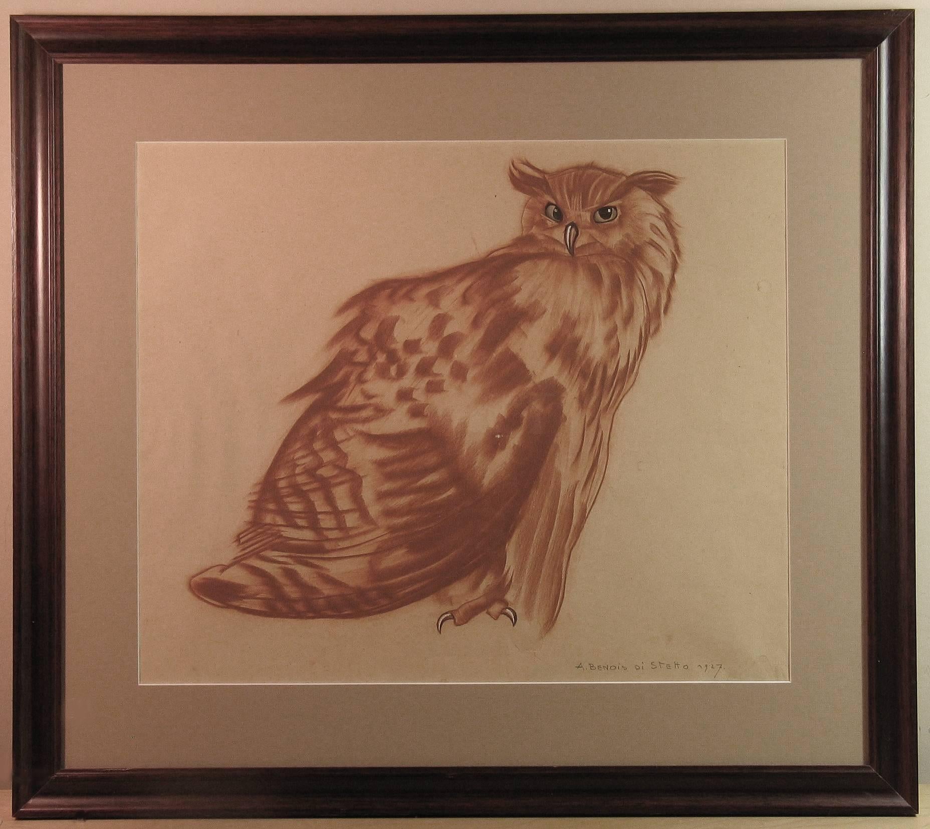 Expressionist Alexander Benois Di Stetto, Red Chalk, Pencil, Study of an Owl