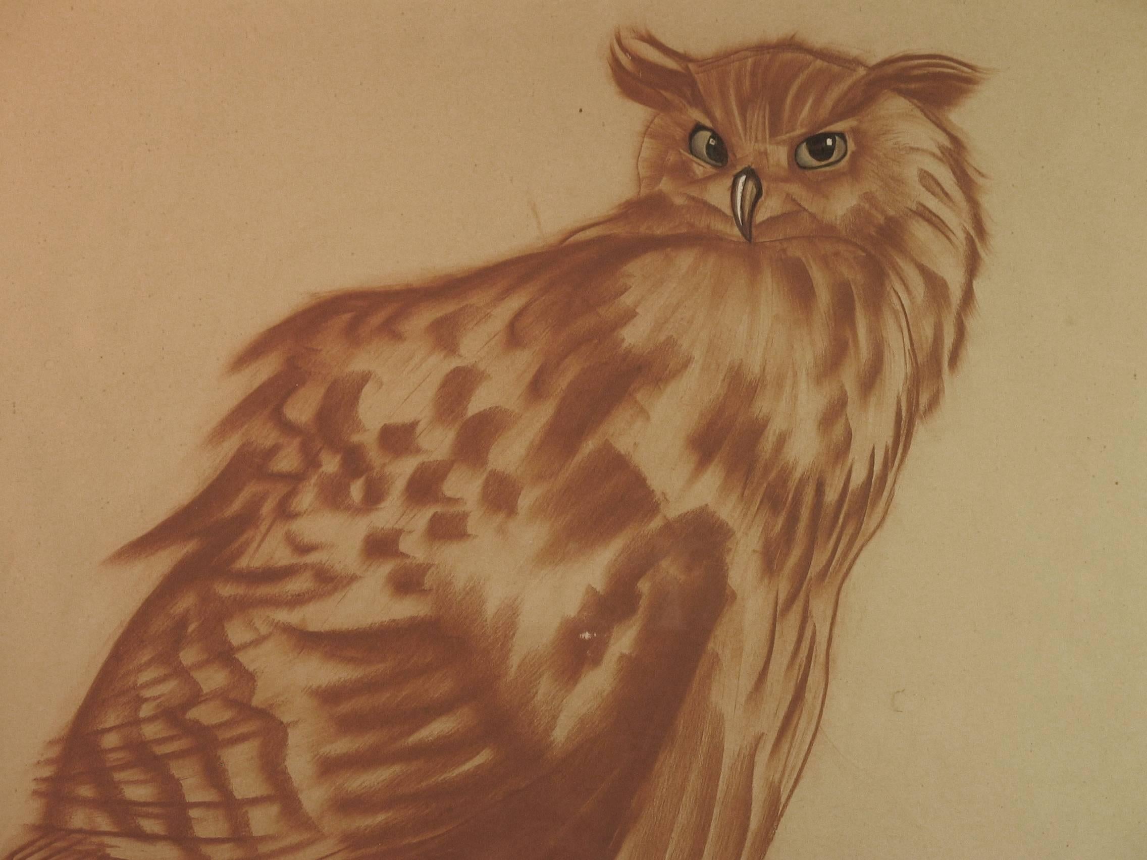 Swiss Alexander Benois Di Stetto, Red Chalk, Pencil, Study of an Owl