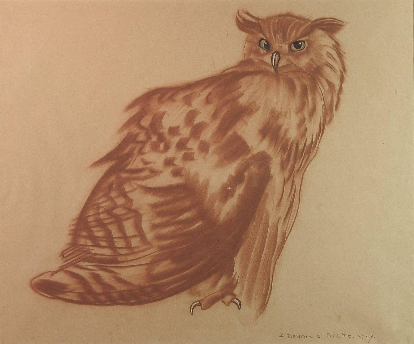 Alexander Benois Di Stetto, Red Chalk, Pencil, Study of an Owl In Good Condition In Ottawa, Ontario