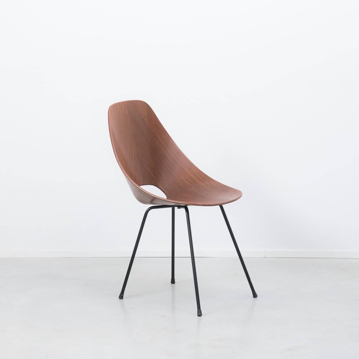 vittorio nobili chairs