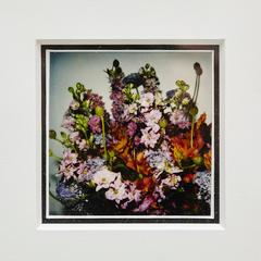 Nobuyoshi Araki Polaroïd signé