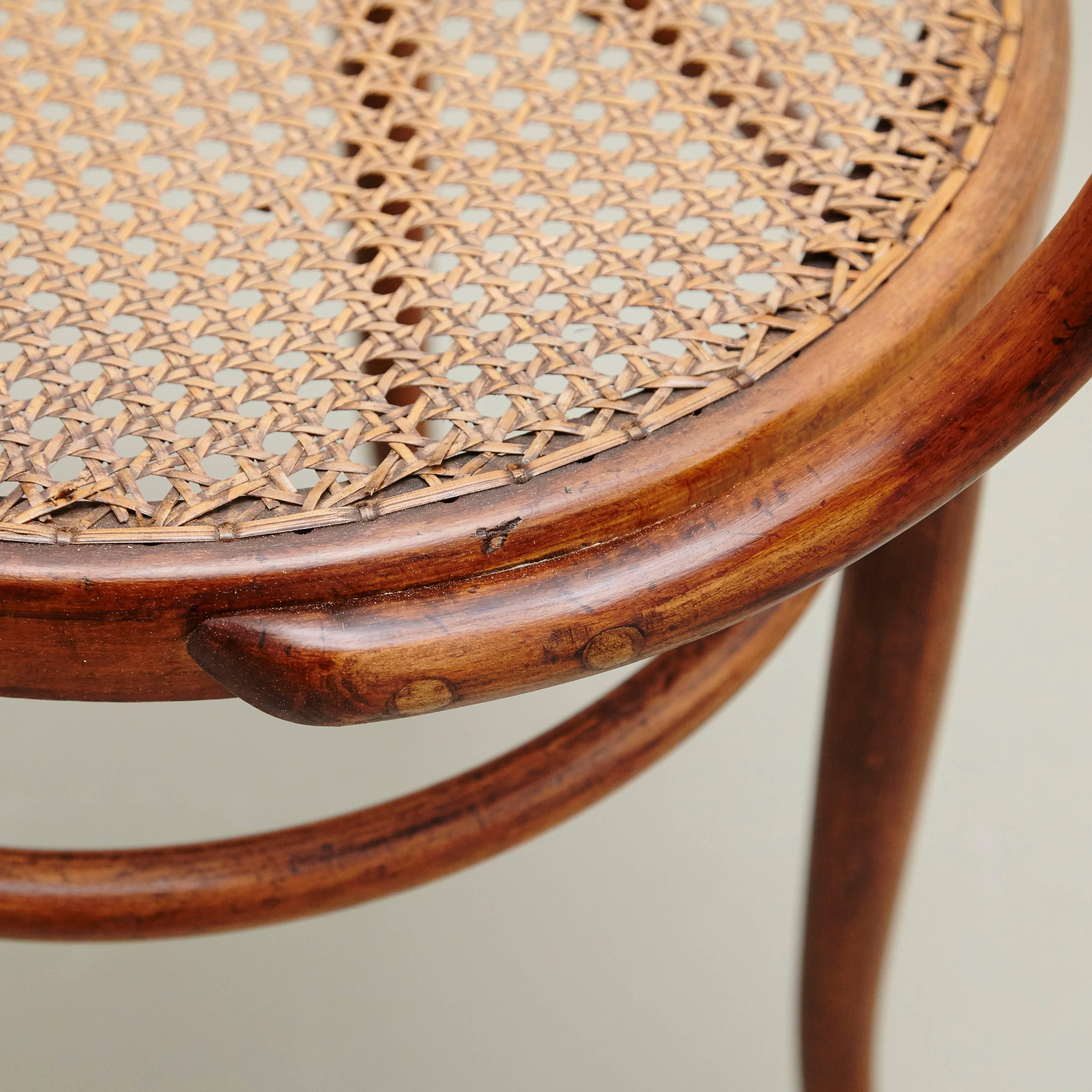 Early 20th Century Thonet 209 Armchair by August Thonet for Mundus, circa 1900
