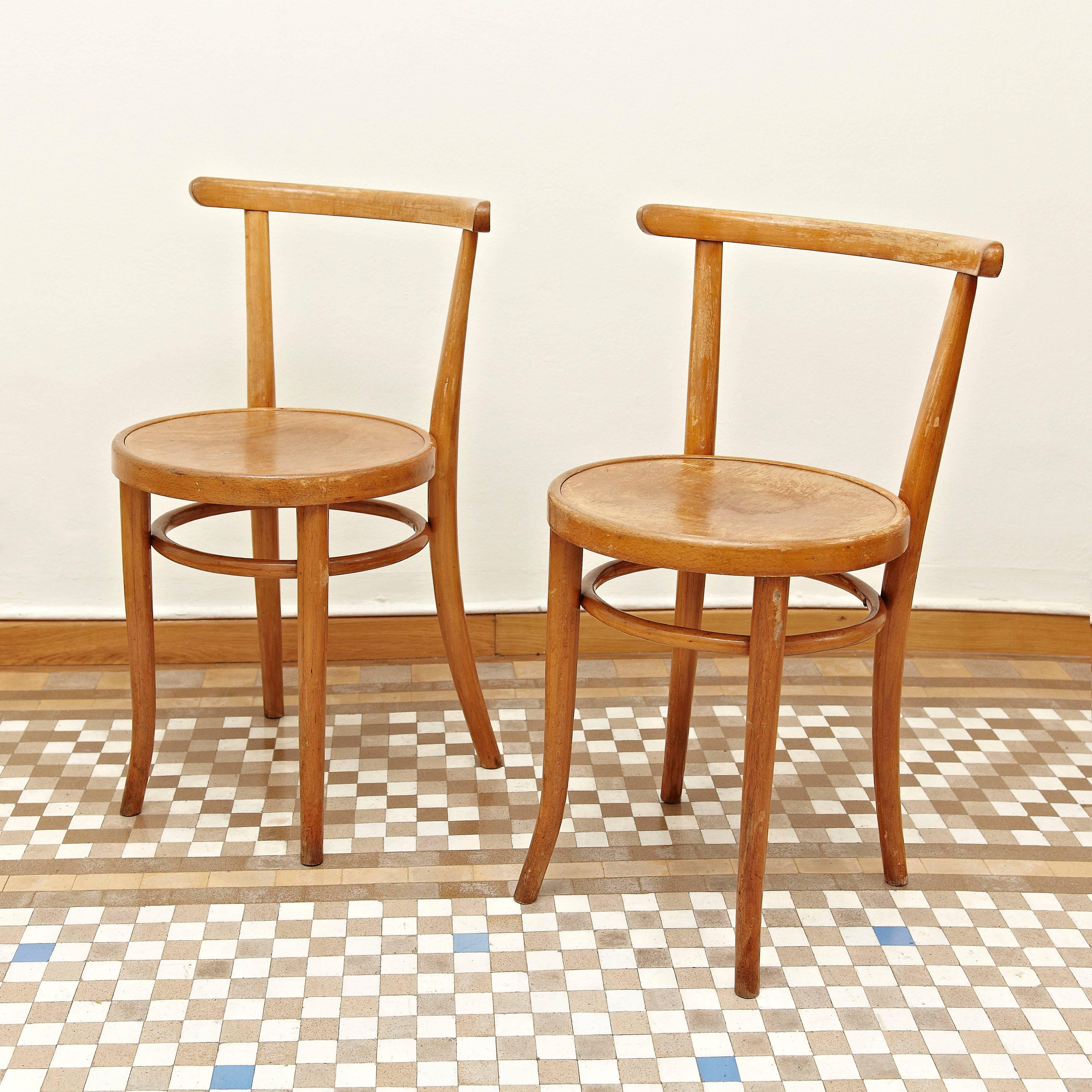Set of Four Thonet 51 Chair by Auguste Thonet for Thonet 2