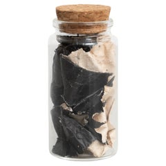 Collectibles and Curiosities