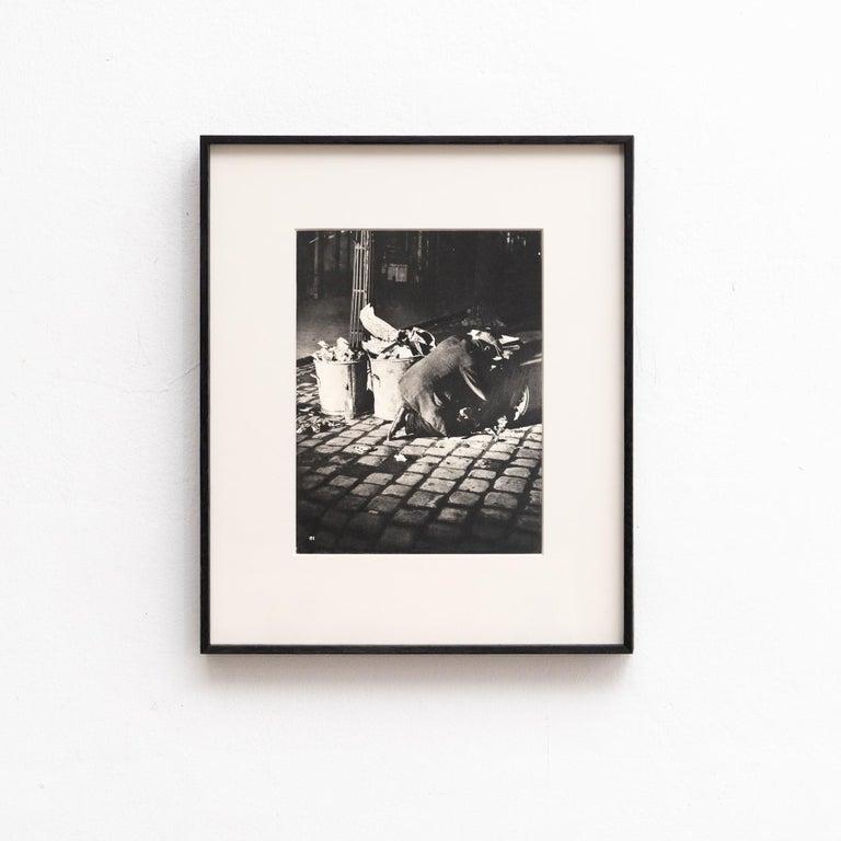 Français Très rare suite de 35 héliogravures à l'épreuve de Brassaï Paris de Nuit en vente