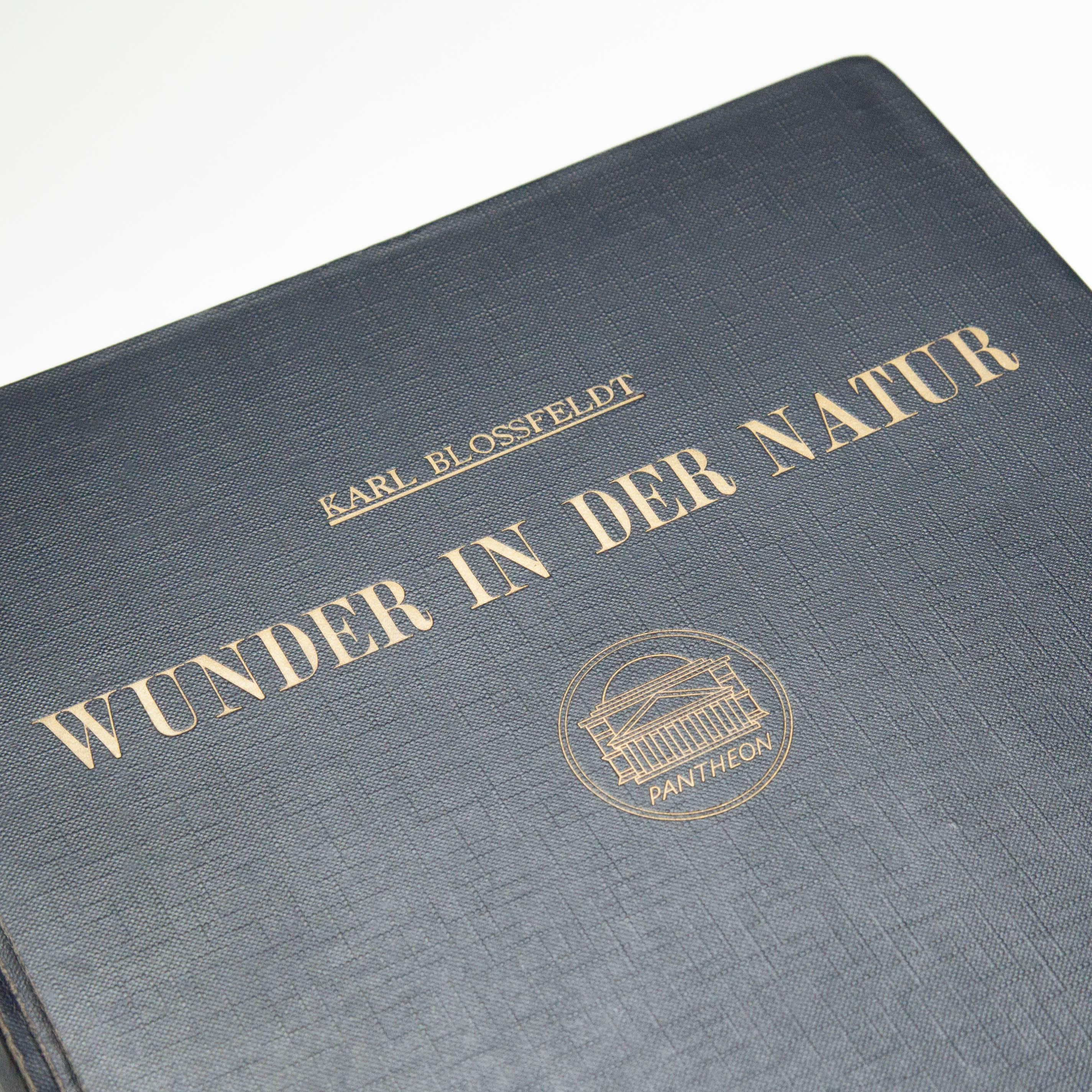 'Urformen Der Kunst' book by Karl Blossfeldt.
Published by H. Schmidt & C. Günther in Leipzig (Germany).

First edition of 1942 with 250 pages and 120 plates in copper gravure after photographs by Karl Blossfeldt.

Original blue binding with
