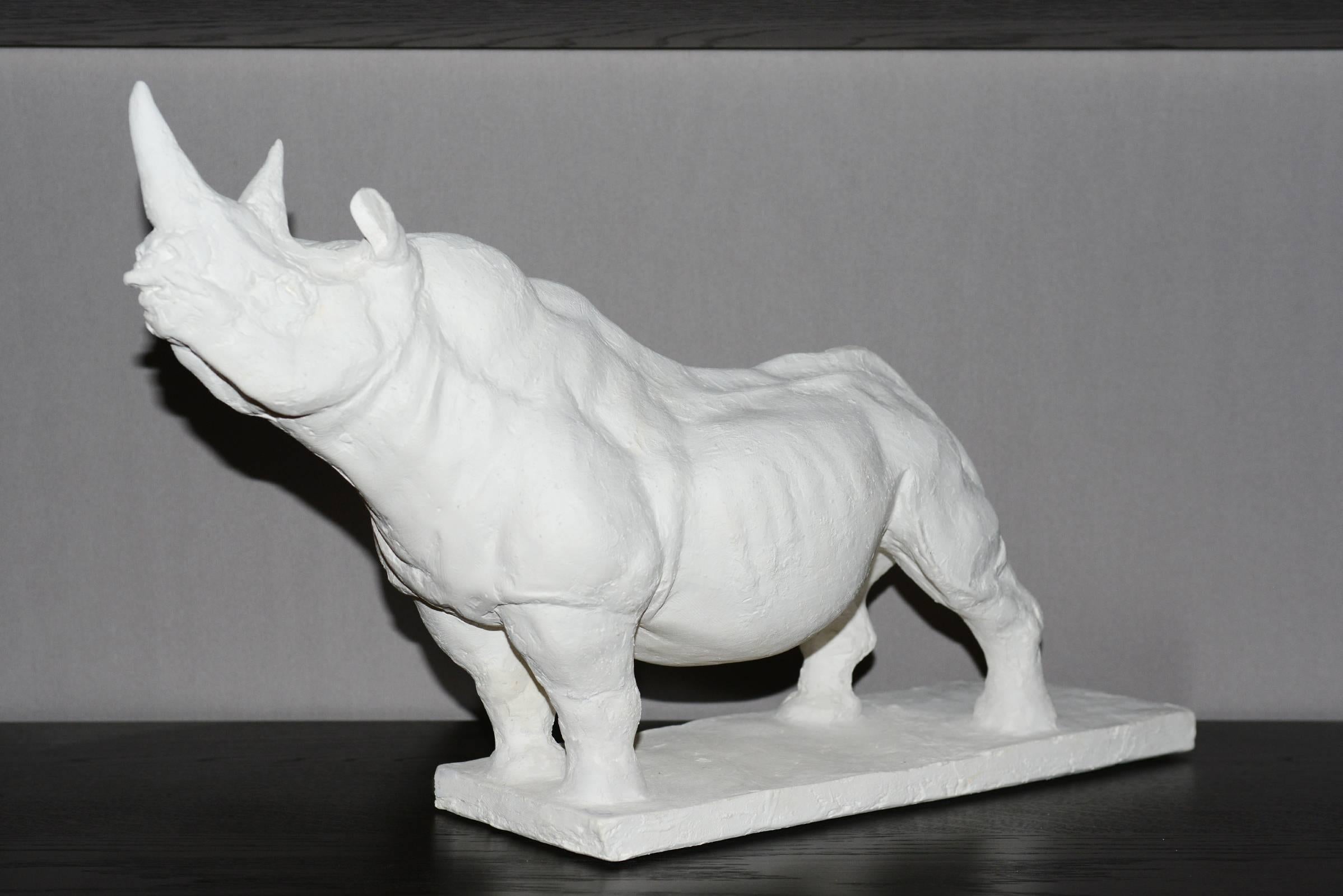 Sculpture Rhinoceros in plaster.
Limited and Numerated Edition 25/60.
Made in France by J.B Vandame in 2015.

 