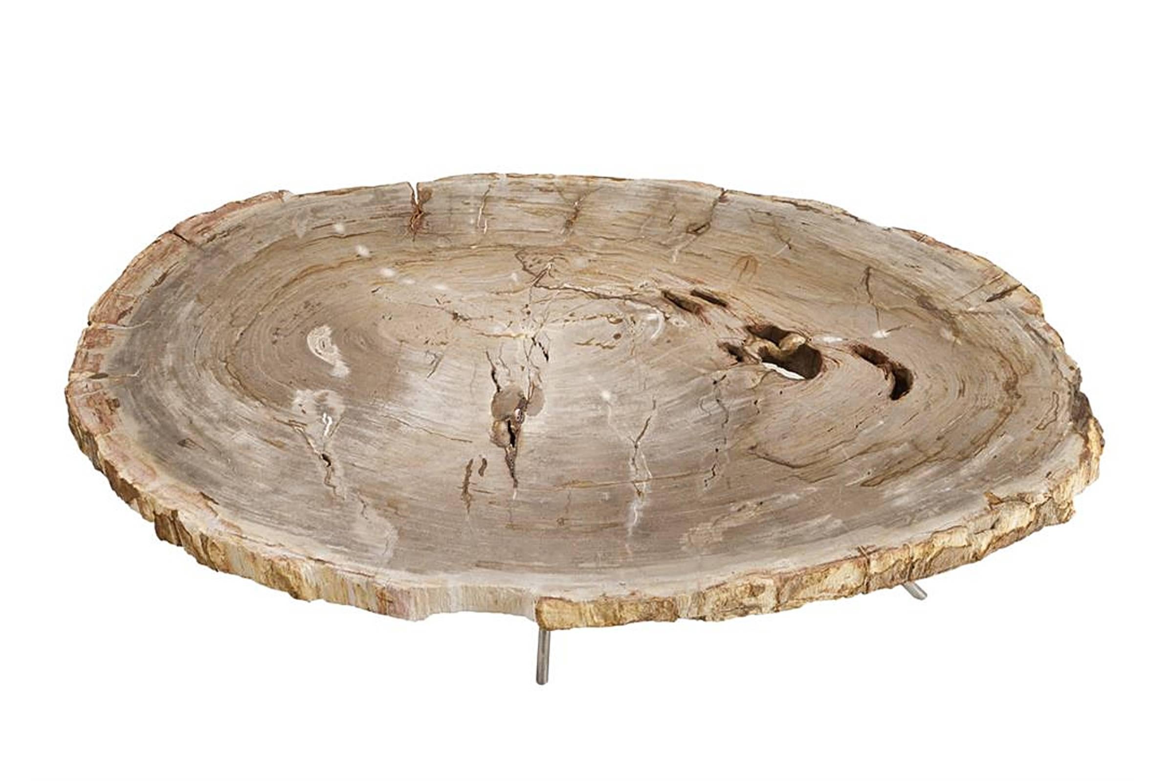 Coffee table stoned petrified wood with polished
stainless steel base. Petrified wood has turned into 
stone. Trees have been buried for many years under 
sediment they transitioned into stone. Each piece is 
unique. Exceptional piece.
