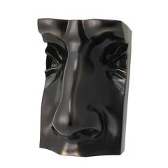 David Face Sculpture in Bronze 4