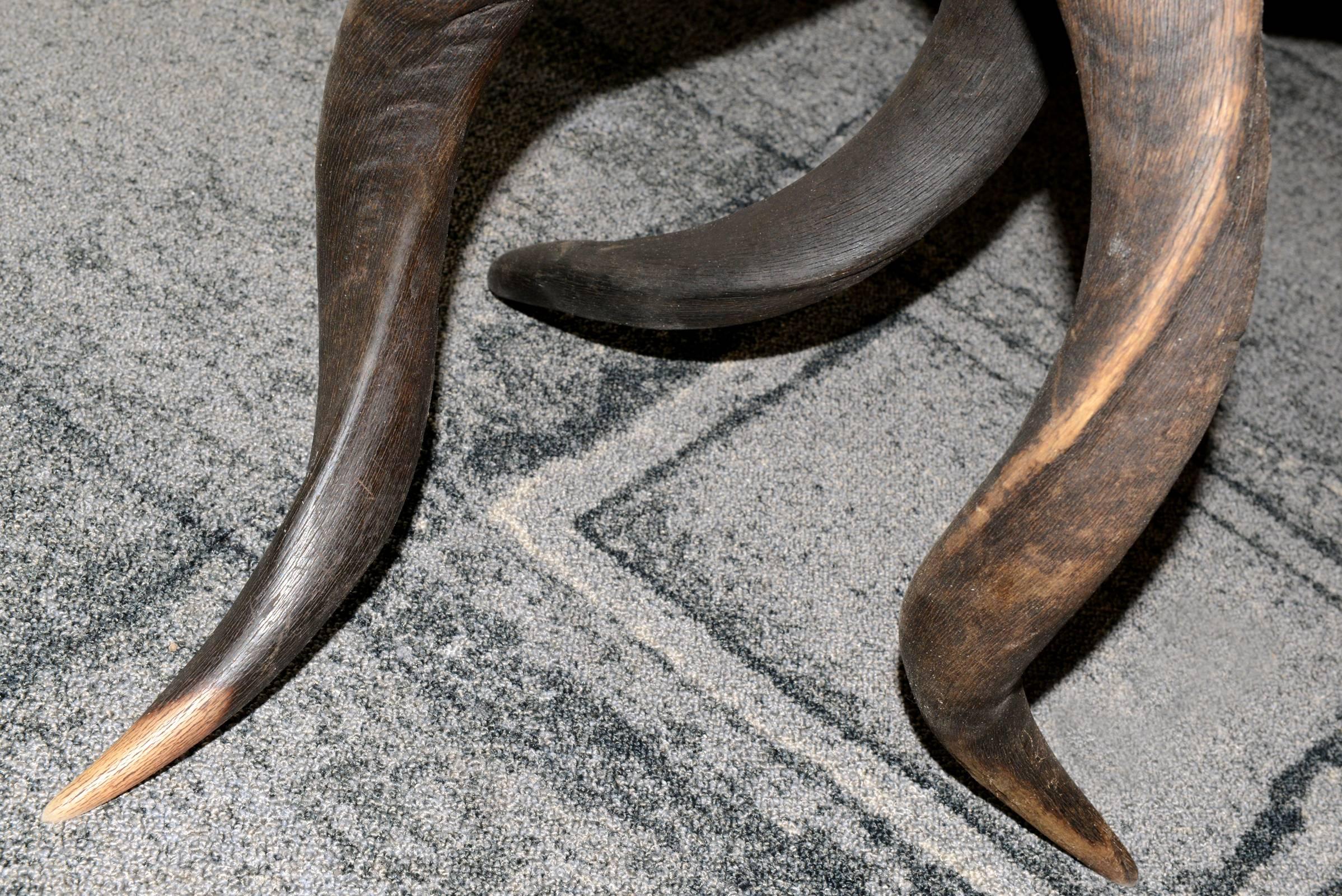 Hand-Crafted Zebra Side Table with Kudu Horns