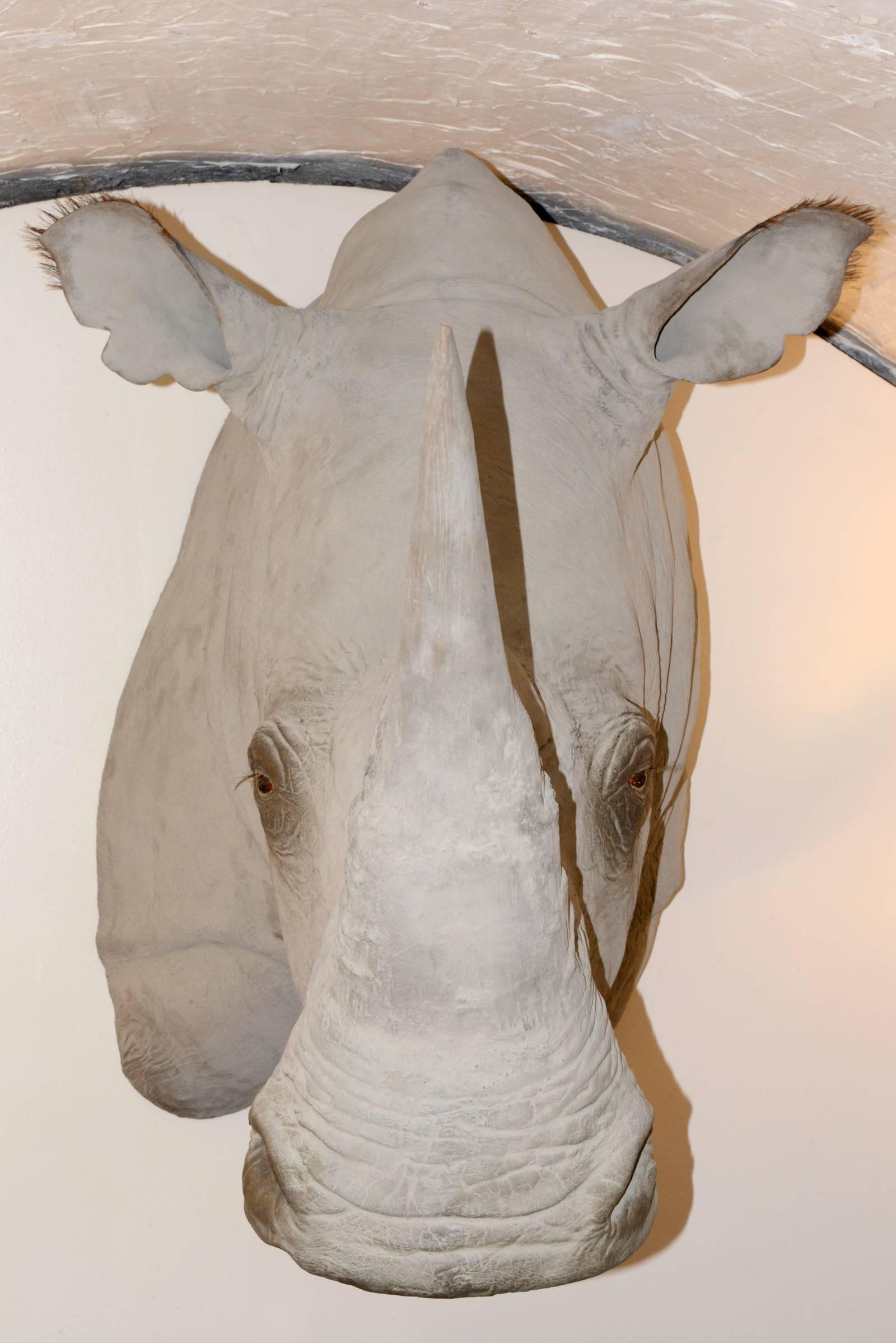 Rhinoceros-Kopf-Skulptur aus Fiberglas mit außergewöhnlichem Finish (Französisch)