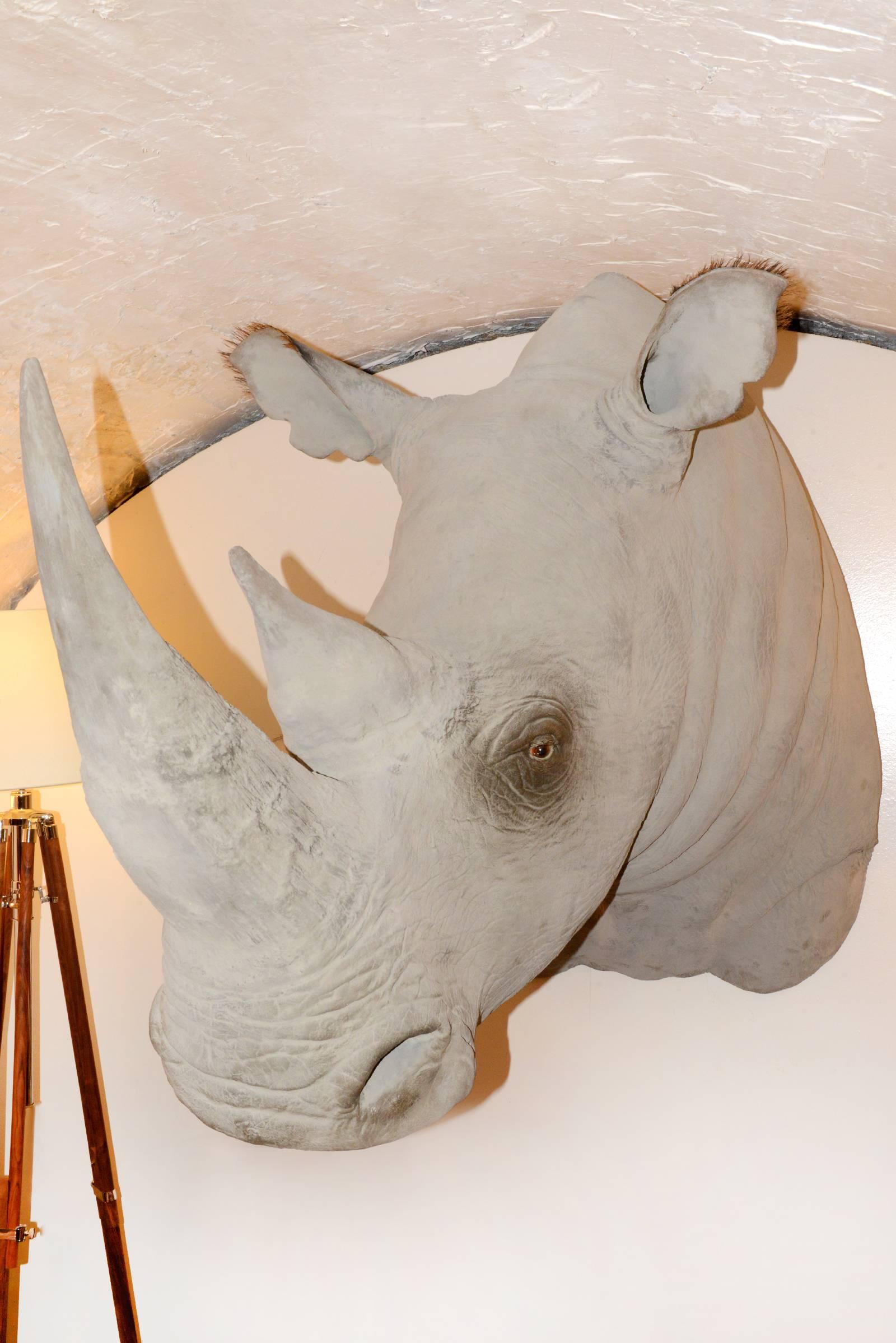 Sculpture de tête de rhinocéros à finition exceptionnelle en fibre de verre Excellent état à Paris, FR