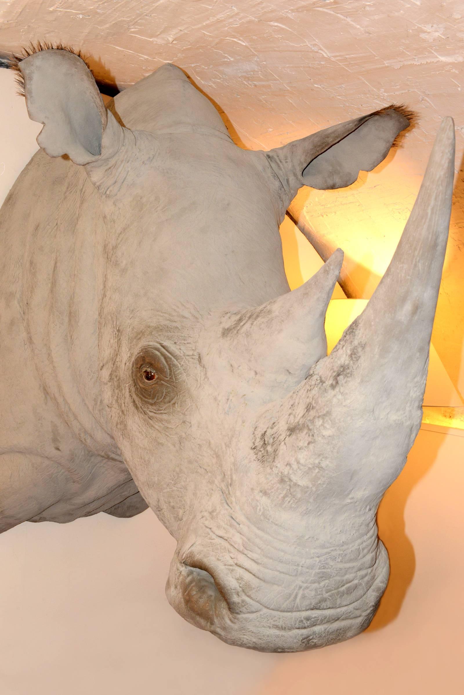 XXIe siècle et contemporain Sculpture de tête de rhinocéros à finition exceptionnelle en fibre de verre