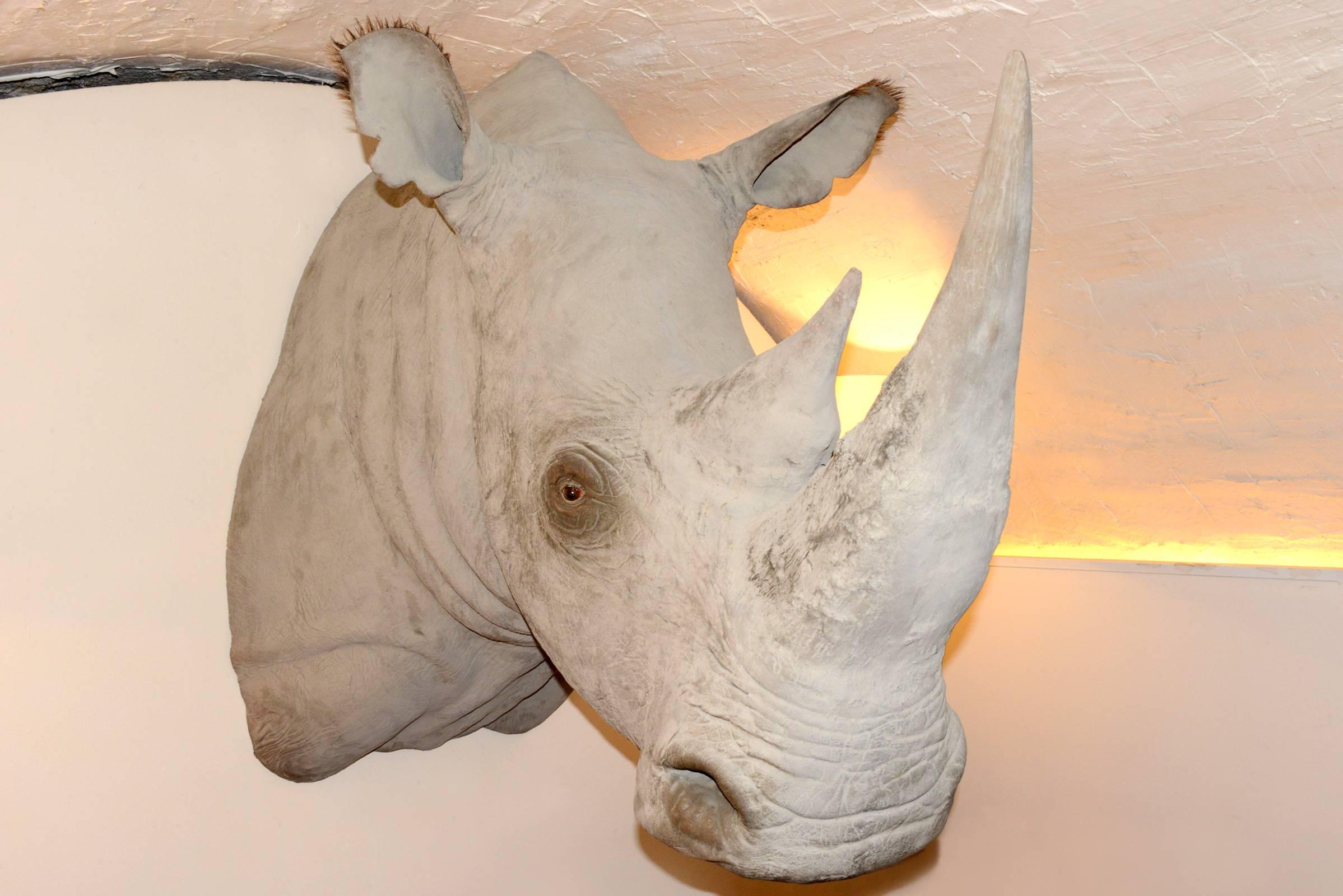 Rhinoceros-Kopf-Skulptur aus Fiberglas mit außergewöhnlichem Finish im Zustand „Hervorragend“ in Paris, FR