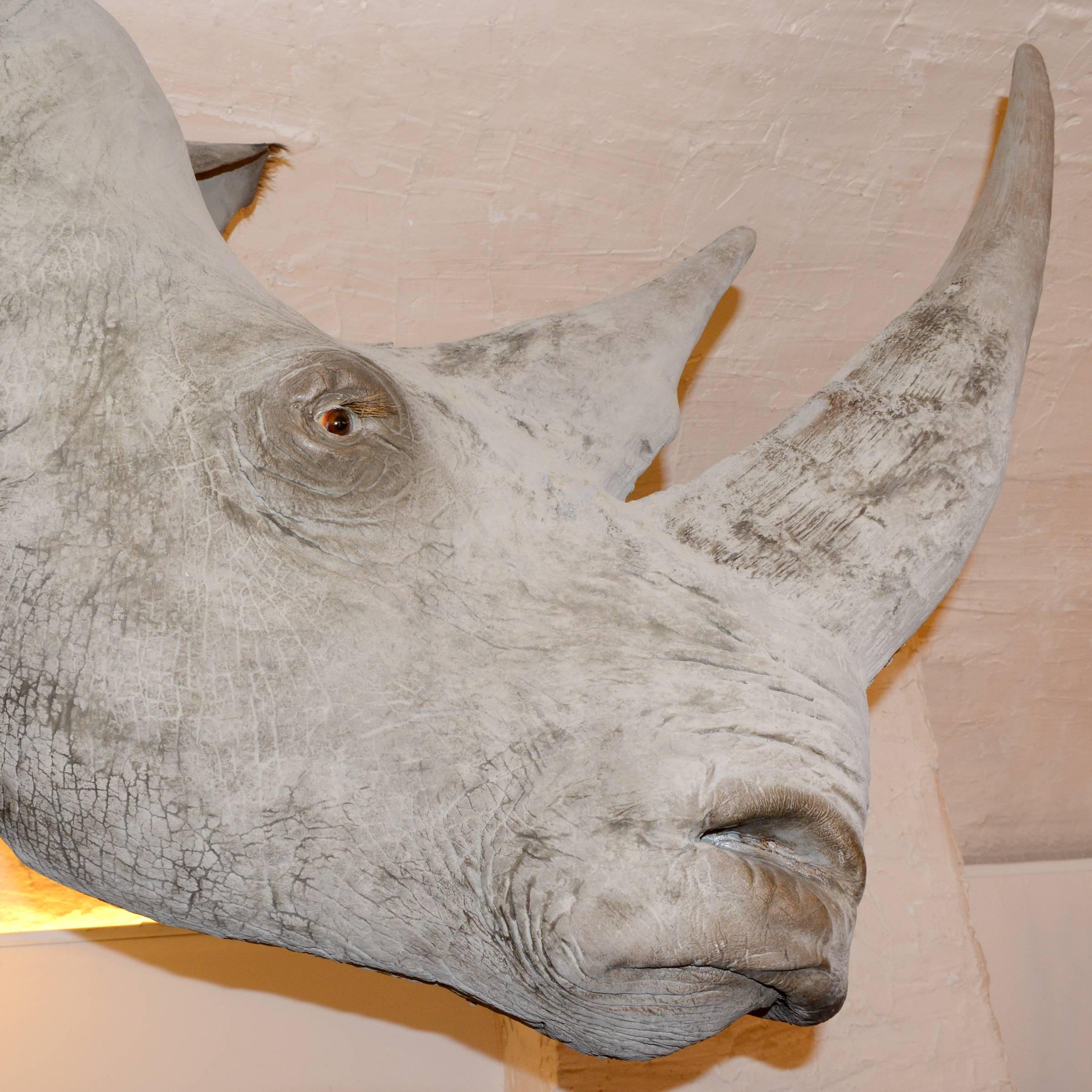 Rhinoceros Head Sculpture in Fiberglass Exceptional Finishing In Excellent Condition In Paris, FR